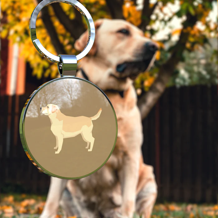 Dog wearing a silent QR code dog tag outdoors on a collar