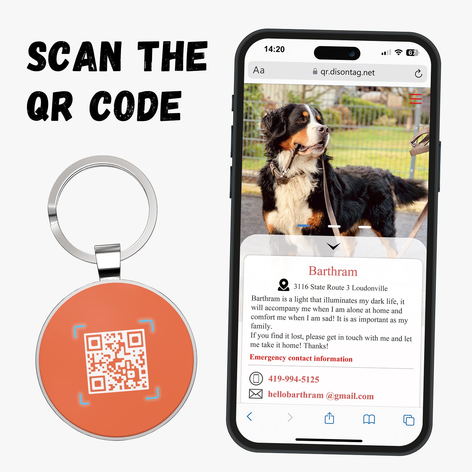 QR code pet tags-NO.150615