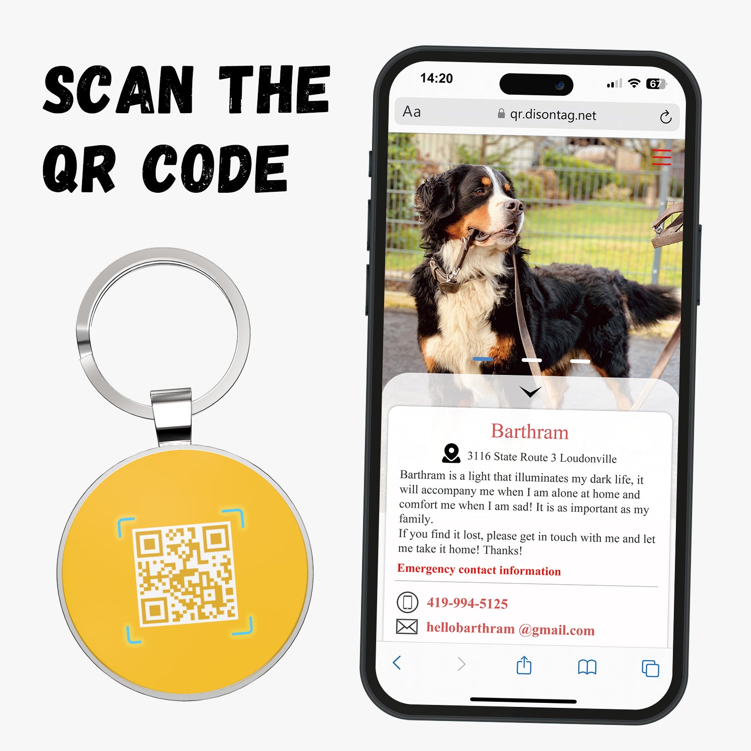 QR code pet tag Pet paws-NO.140602