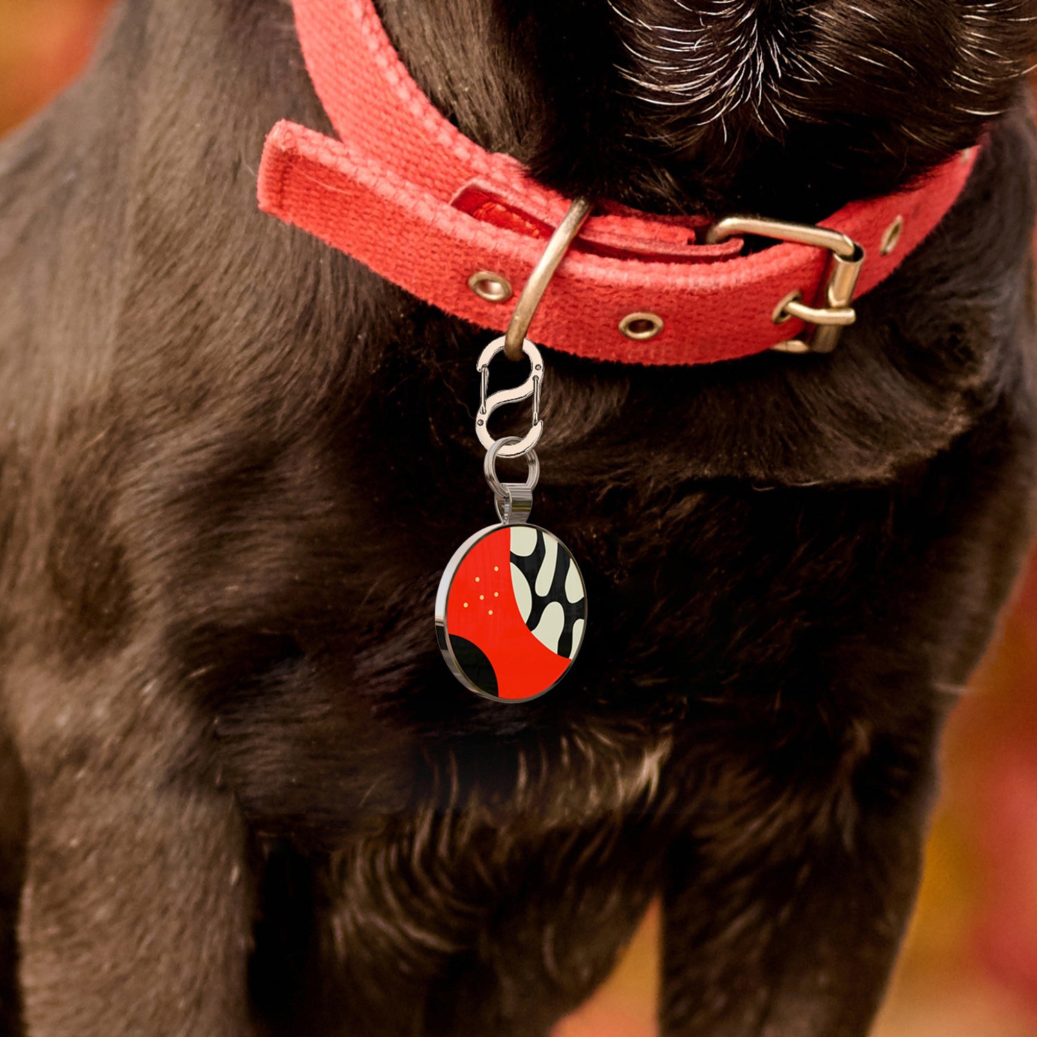 Alloy ID QR code pet tag-Unknown Surprise