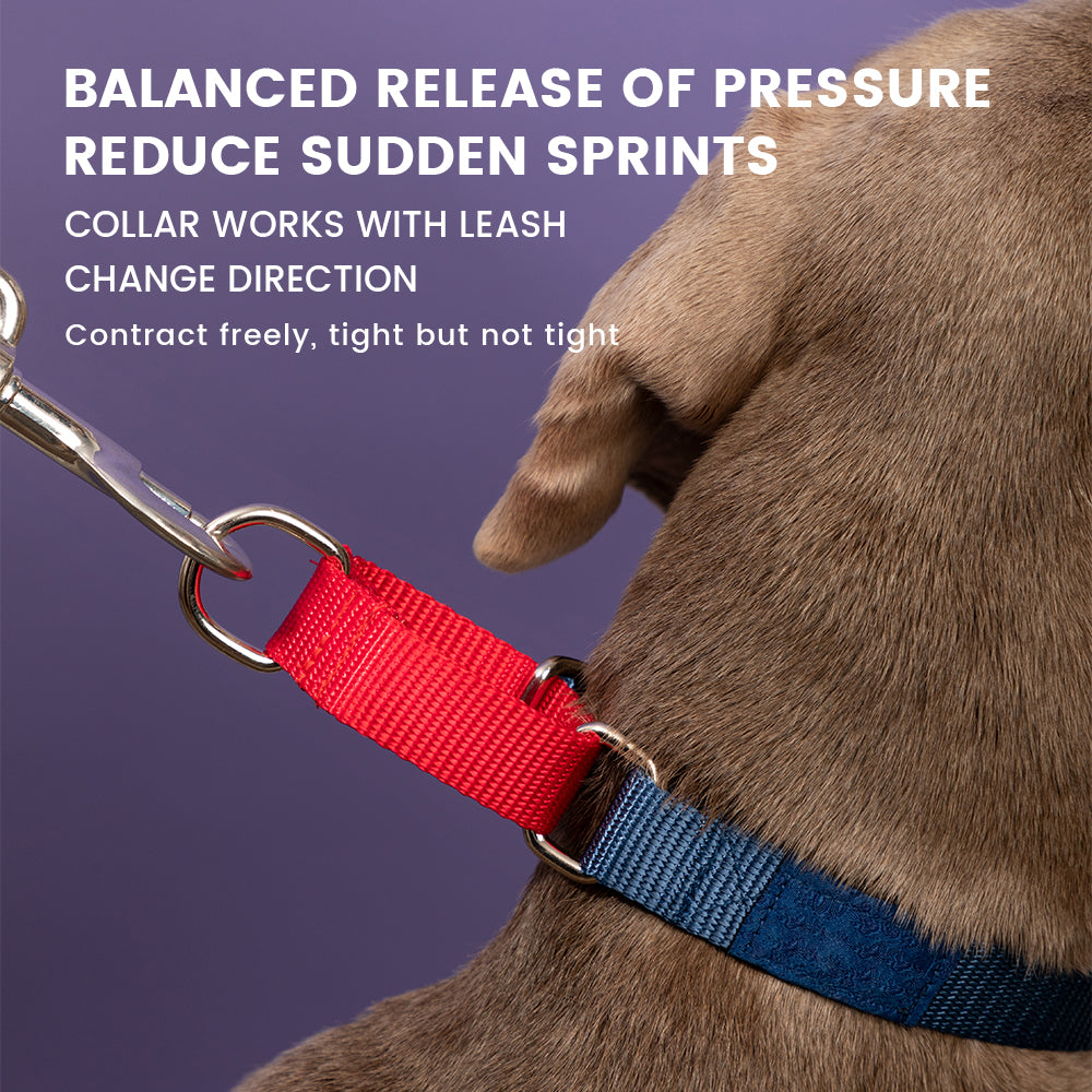 DISONTAG nylon pet collar with exclusive QR code, explosion-proof rushed + quick release buckle (Blue)