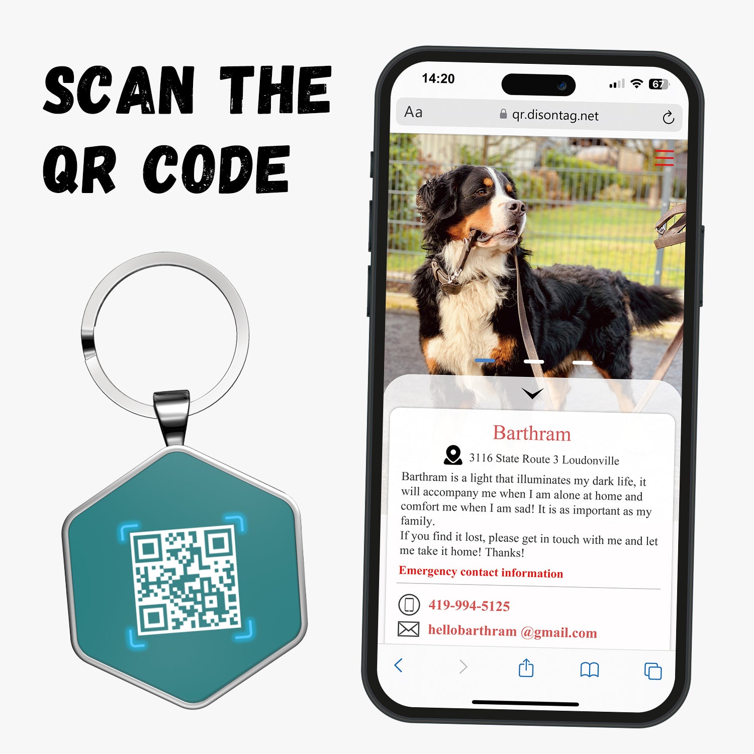 QR code pet tags-NO.150618