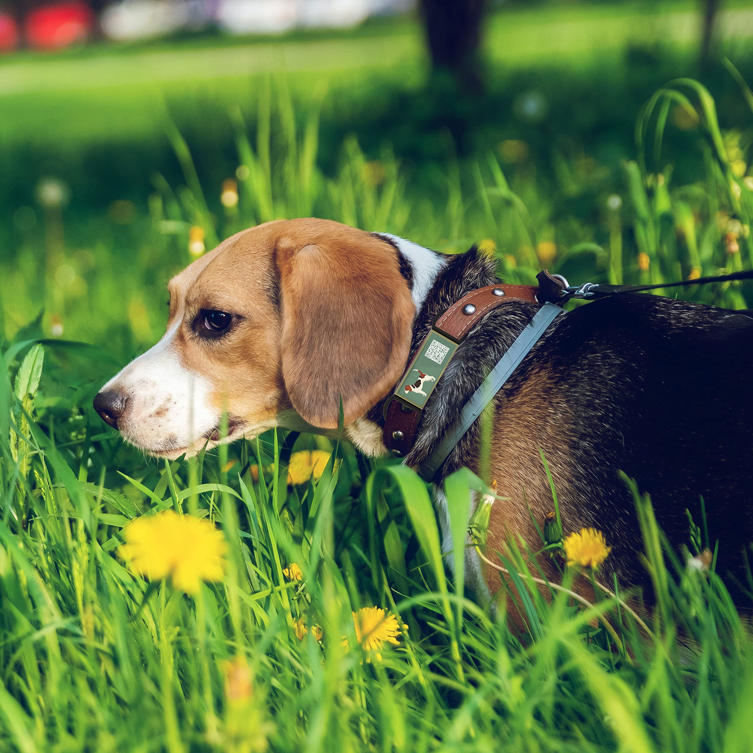 QR code pet tag Silent dog breeds tags-Beagle