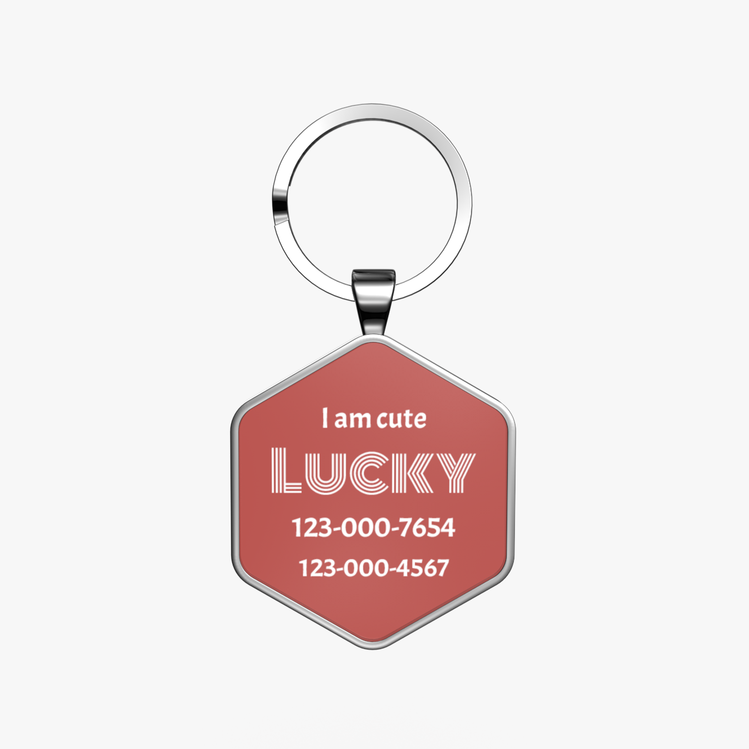 QR code pet tag Colorful text-NO.170916