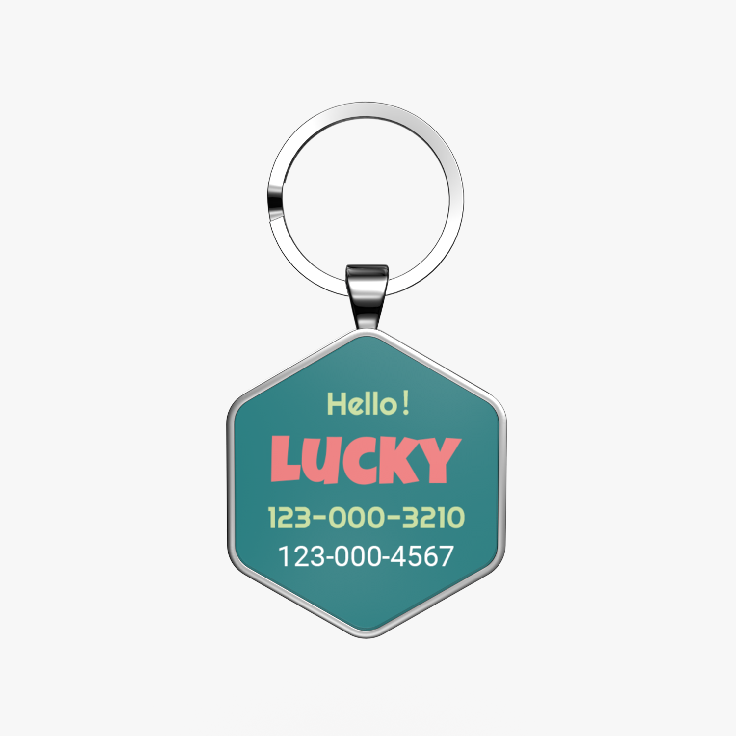 QR code pet tag Colorful text-NO.170910