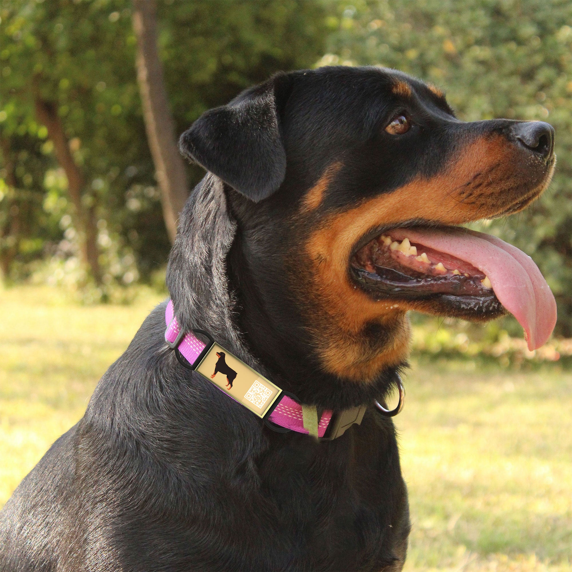 QR code pet tag Silent dog breeds tags-Rottweiler