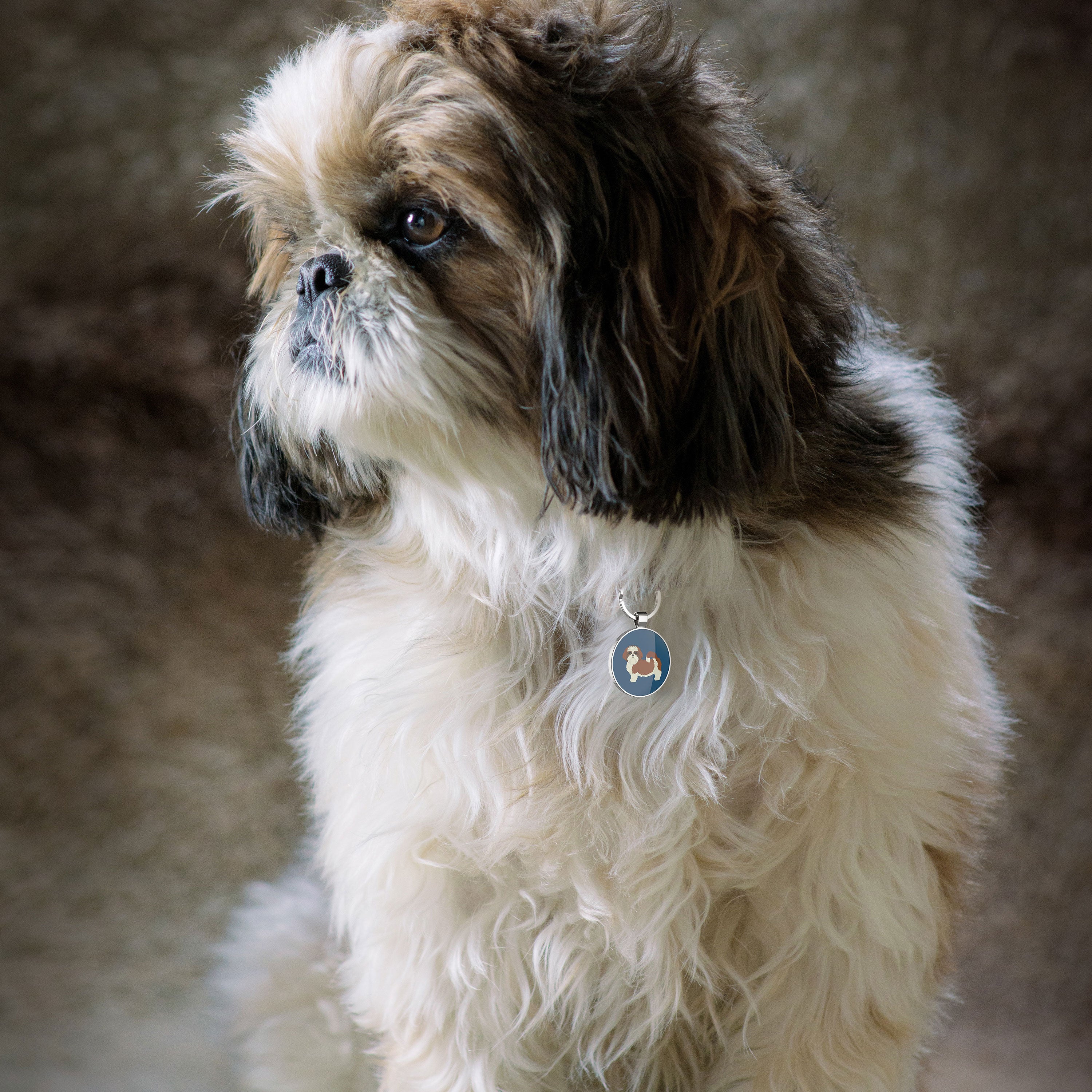 QR code pet tag Dog breeds tags-Shih Tzu