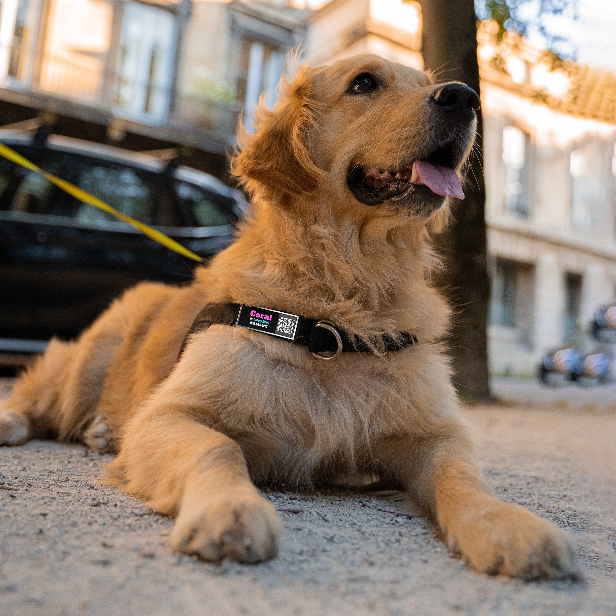 QR code pet tag silent-no more jingle-NO.130901