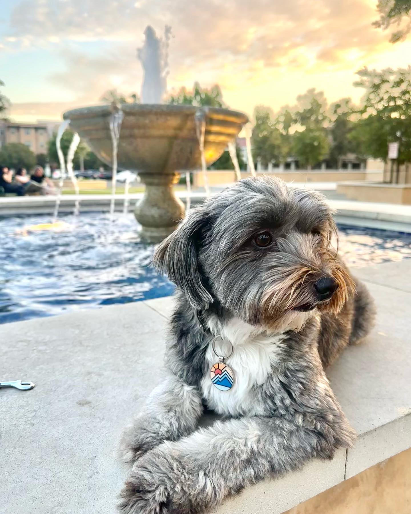 Welcome our new friend Benny~