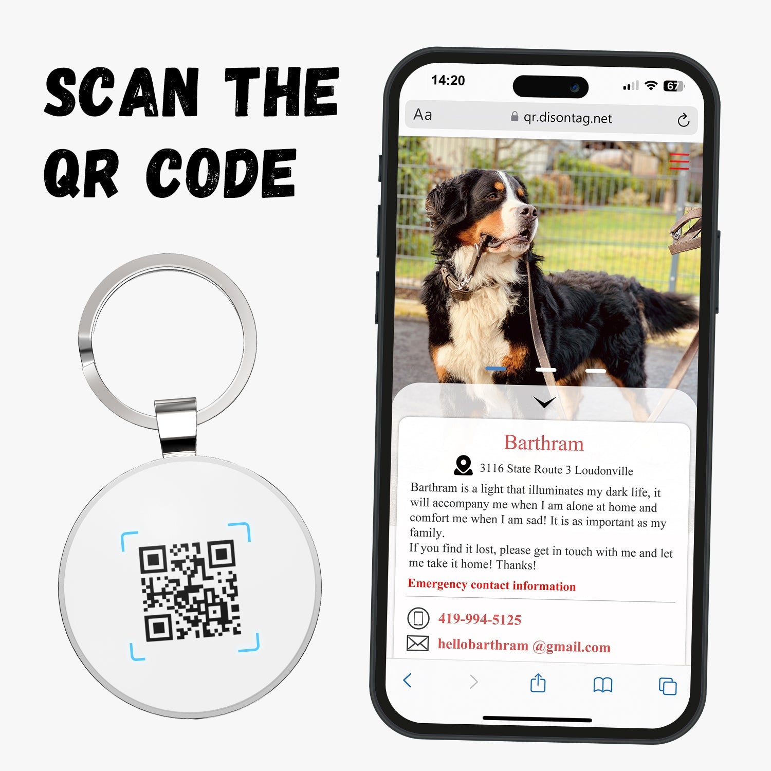 Phone screen displaying pet profile after scanning QR code dog tag