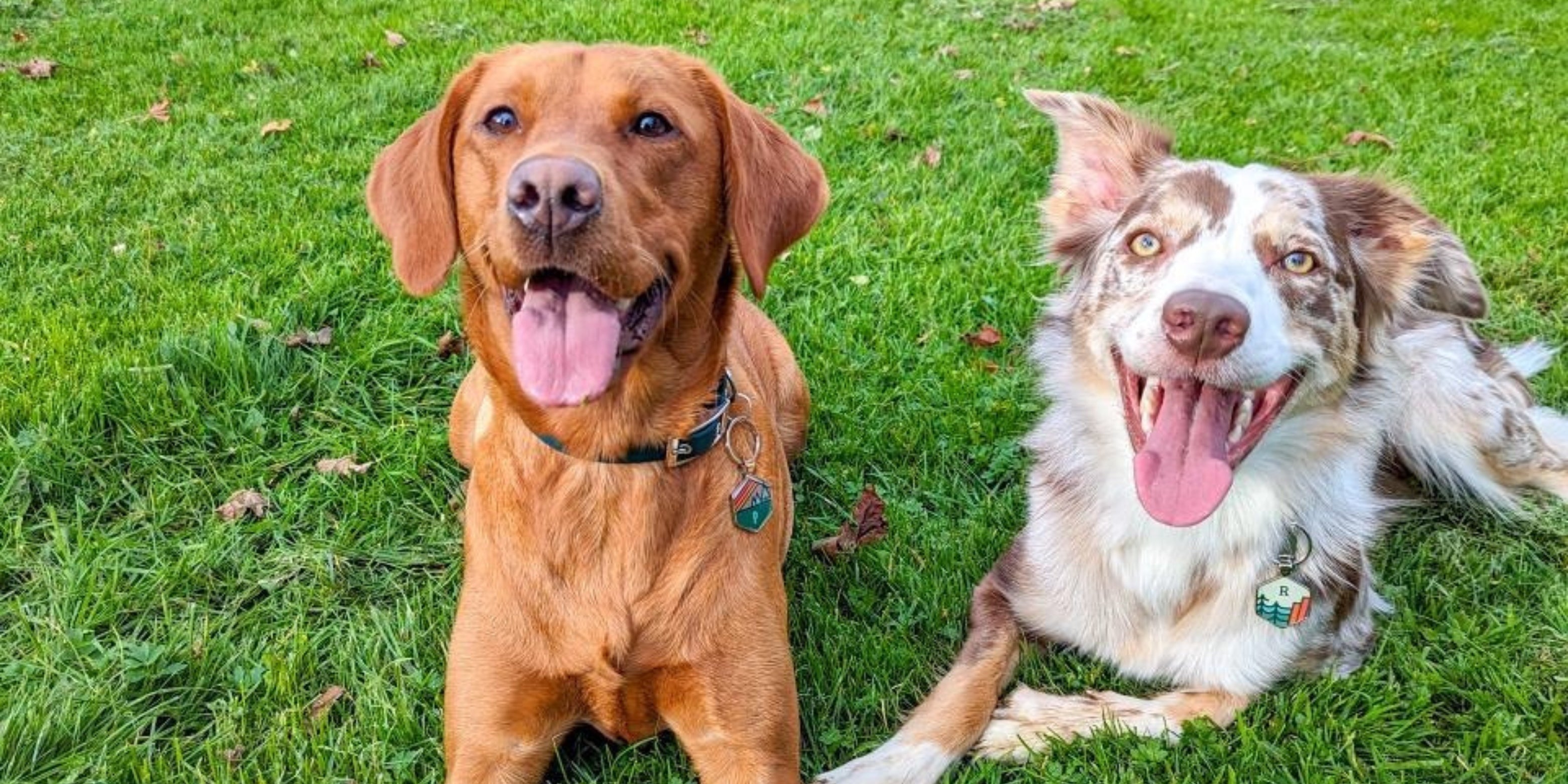 How about your DISONTAG?