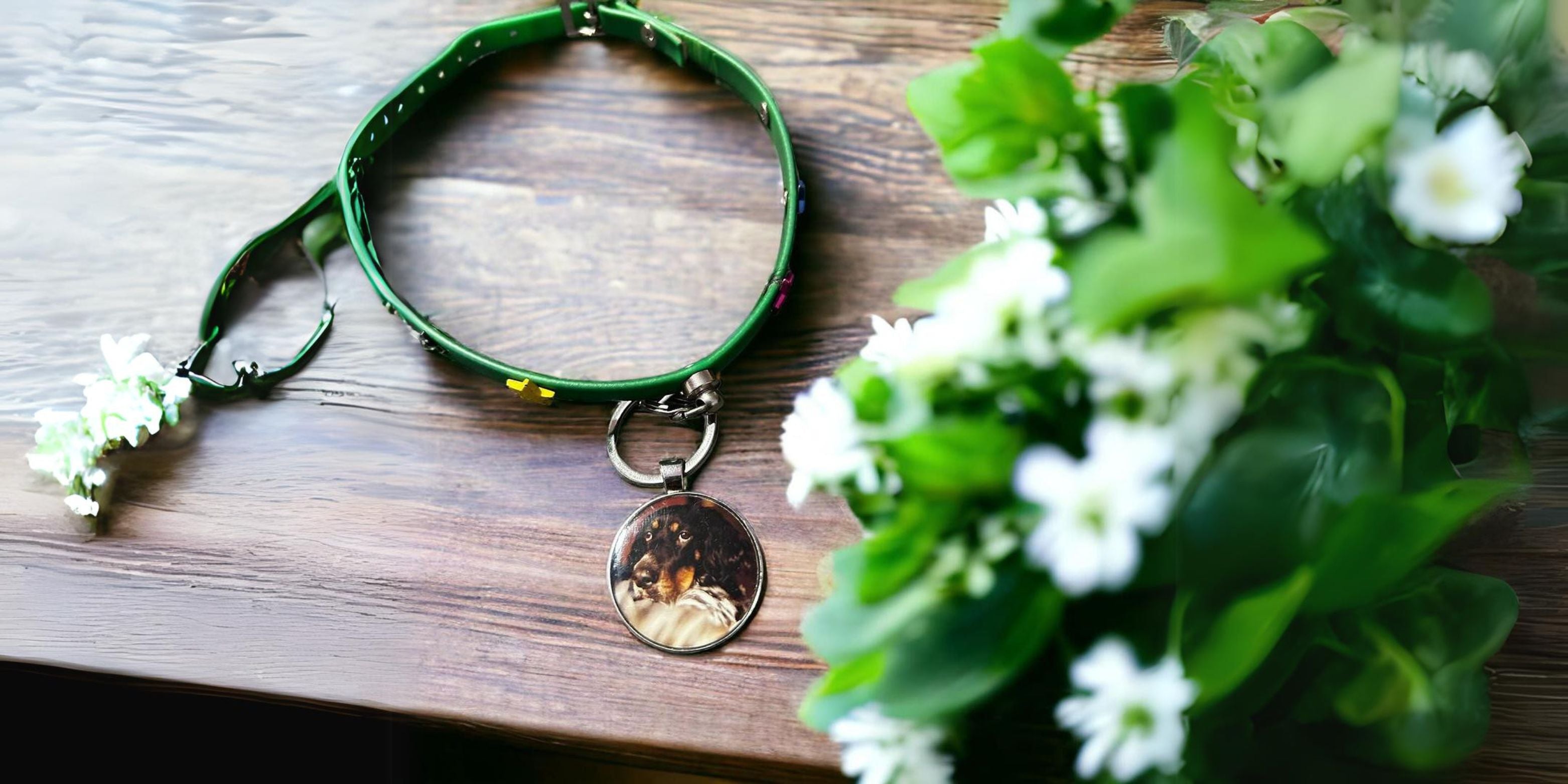 New Gift Idear for you!🎁🤩