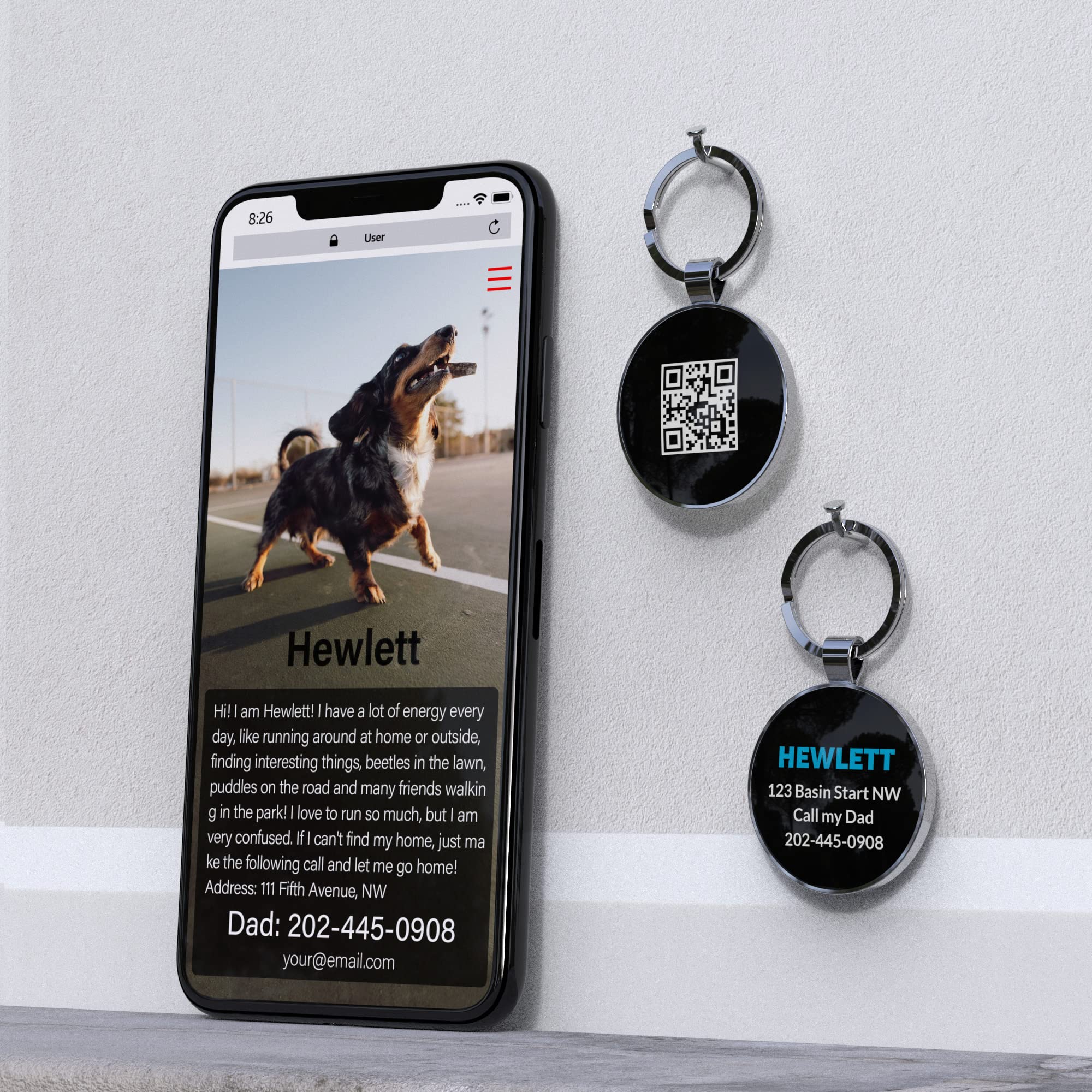 Close-up of DISONTAG QR code pet ID tag waterproof and durable