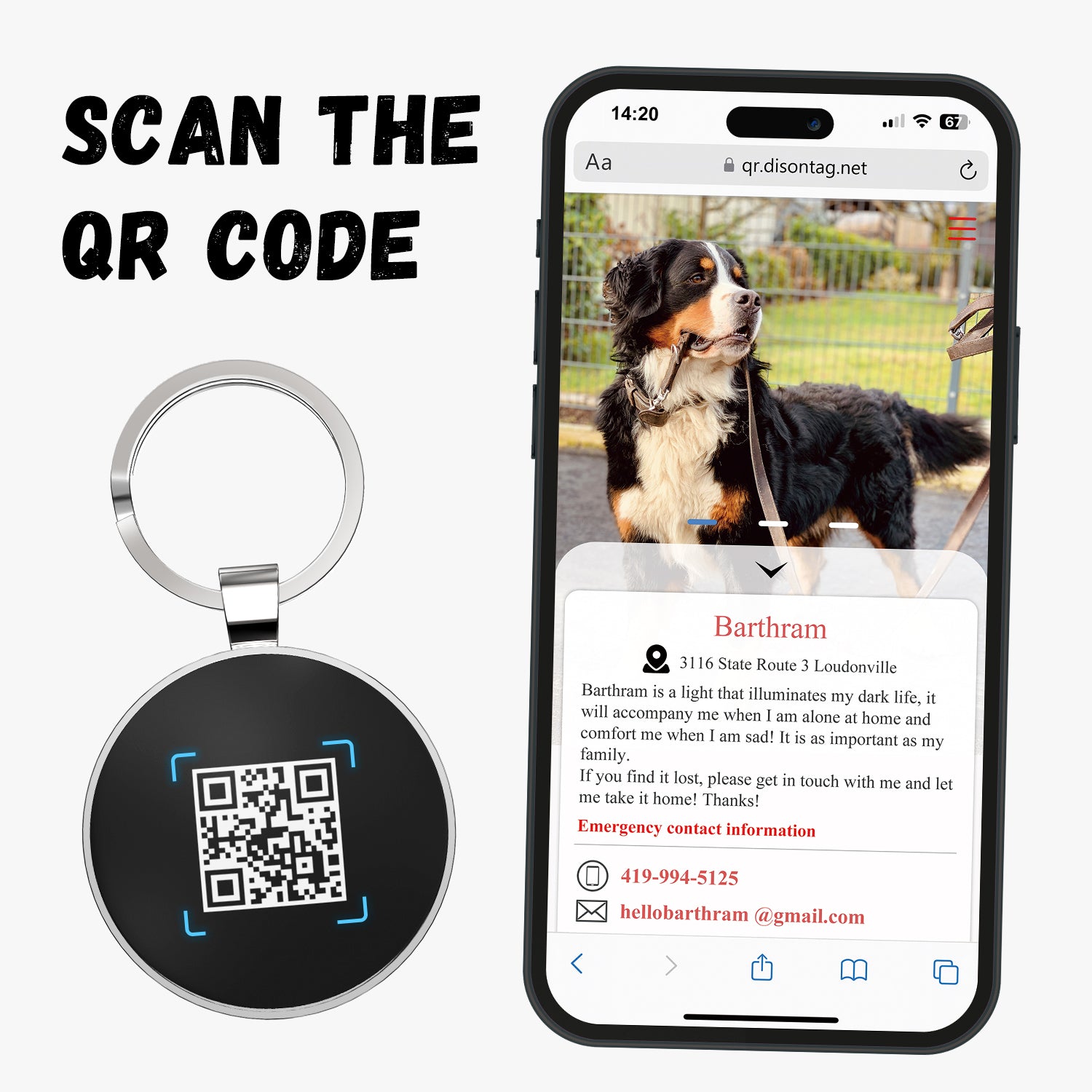 QR code pet tag Pet paws-NO.140601