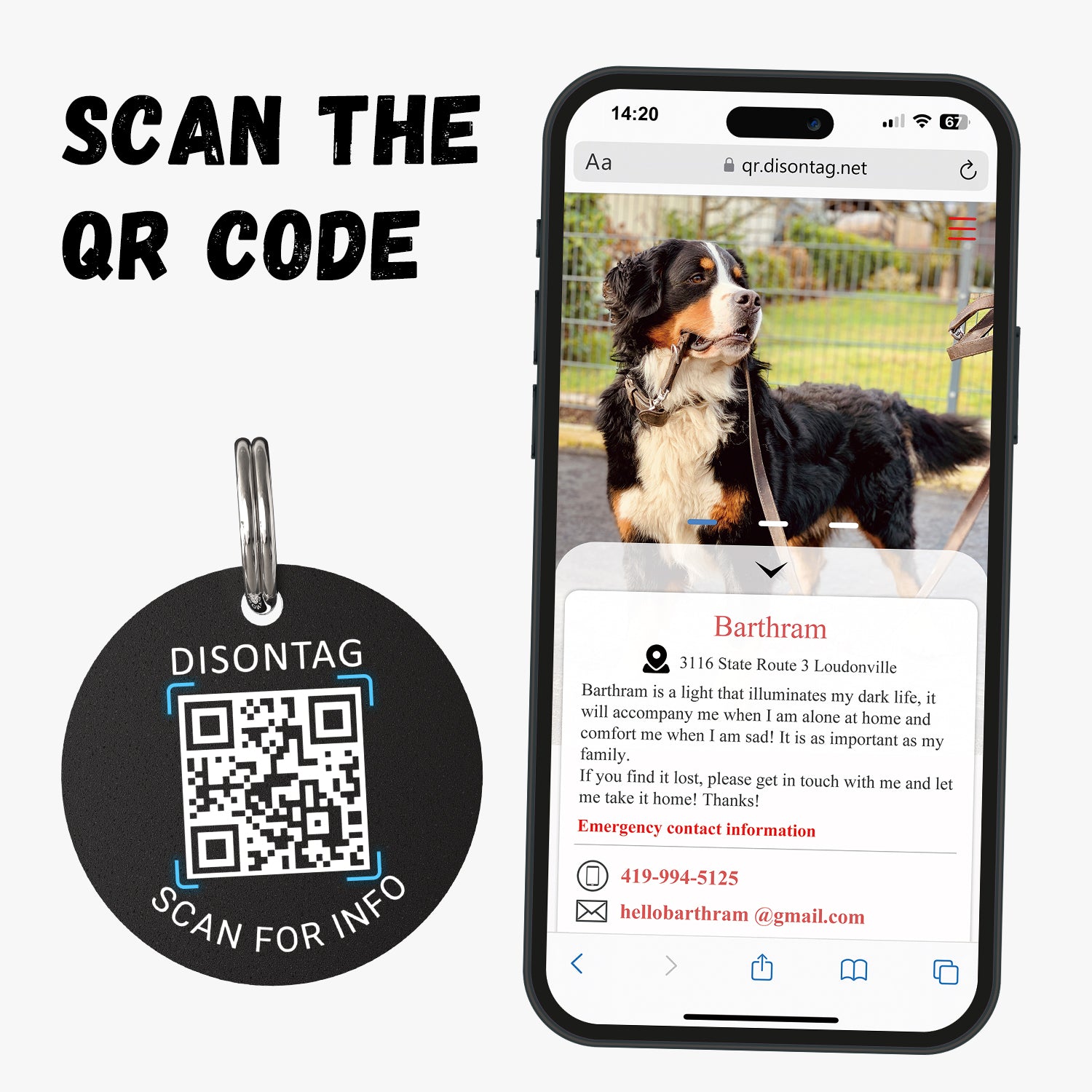 PVC QR pet tag-"HOUNDSTOOTH"