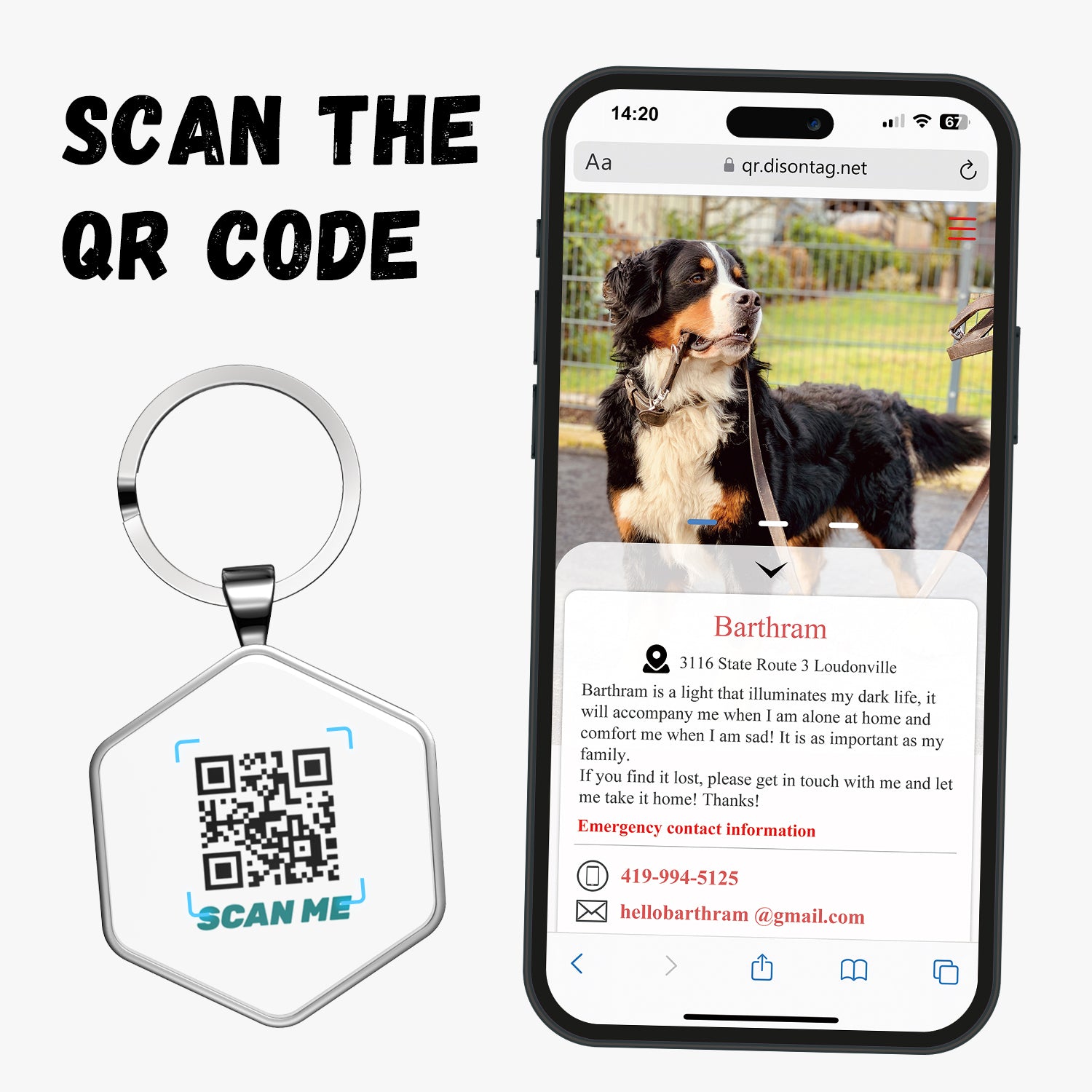 QR code pet tag Adventure tour-NO.160910