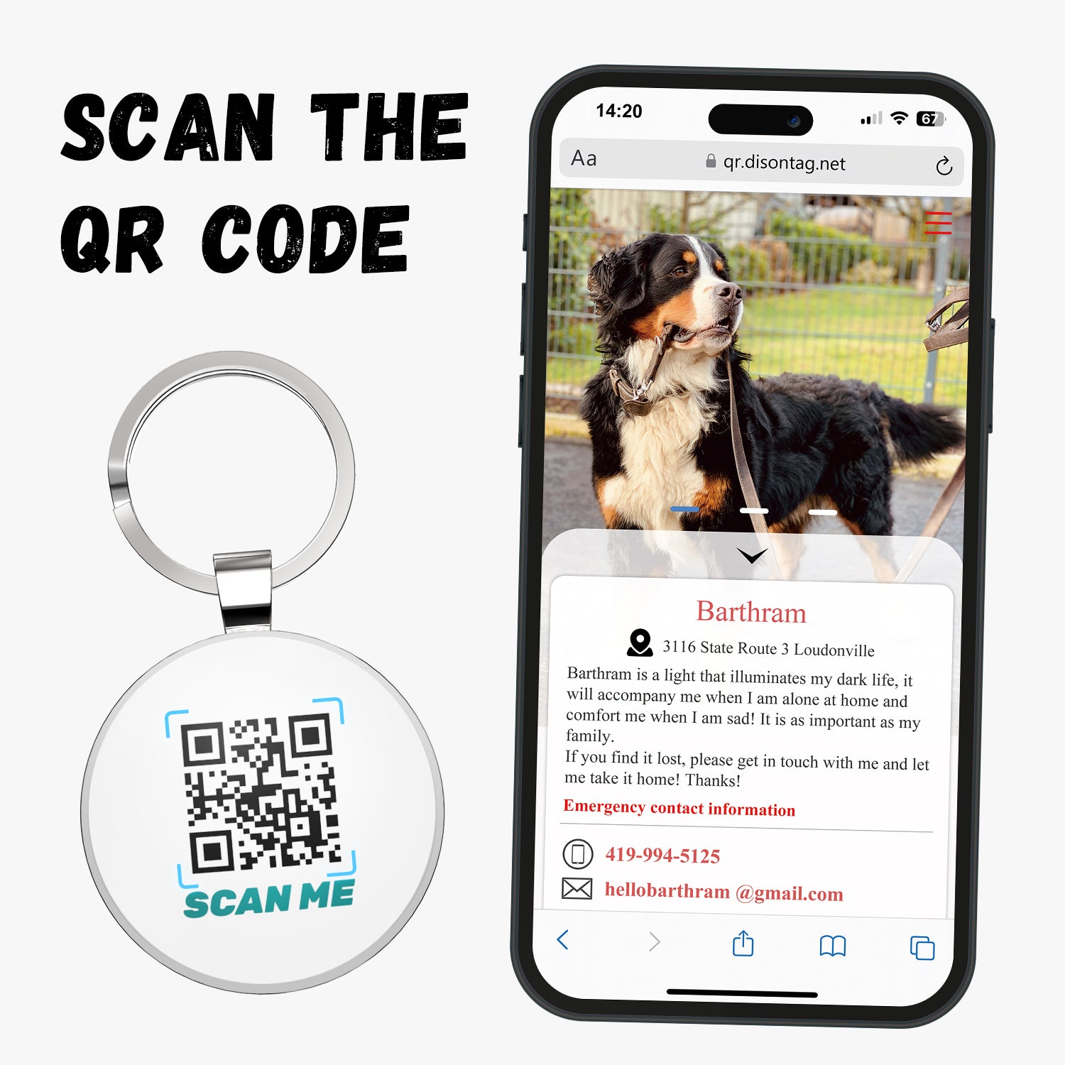 QR code pet tag Adventure tour-NO.160906