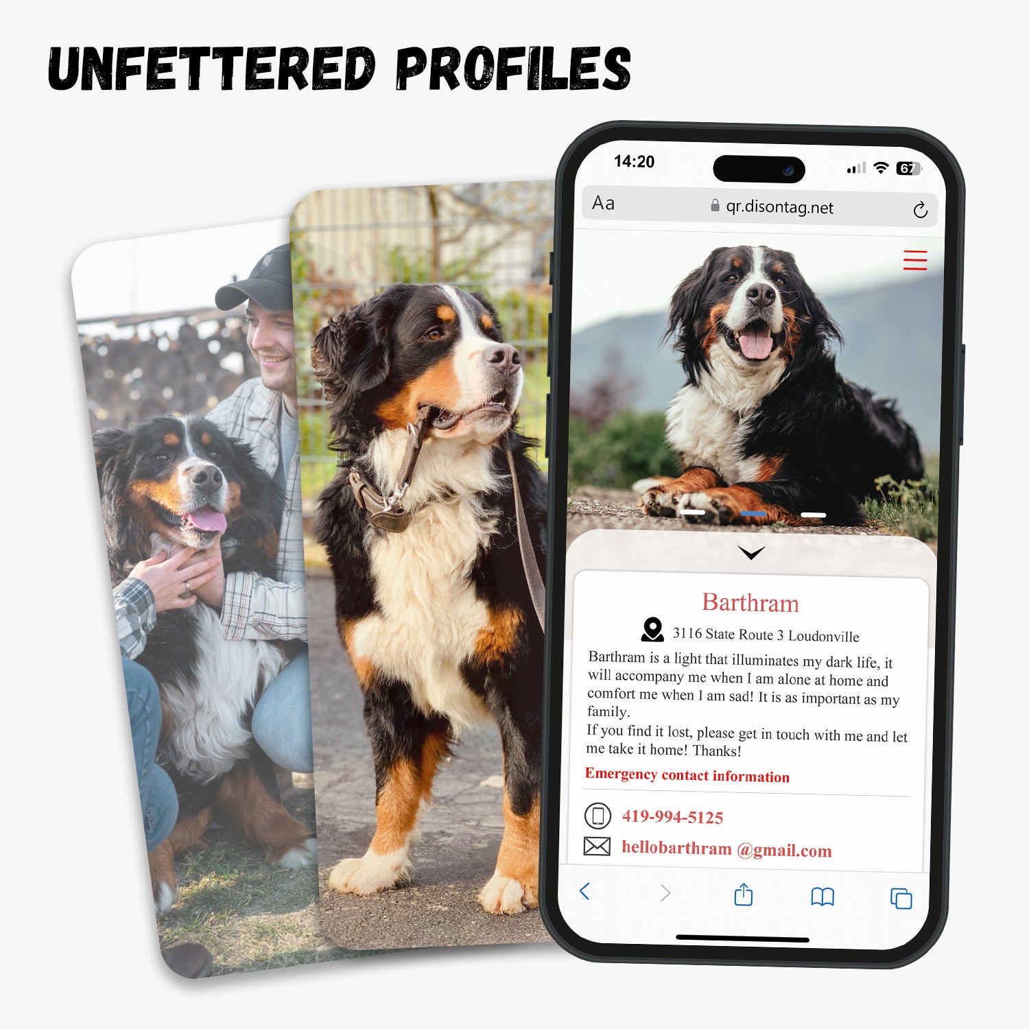 QR code pet tag Colorful text-NO.170909