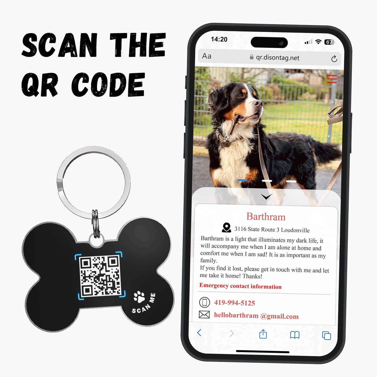 QR code pet tag Colorful text-NO.170928
