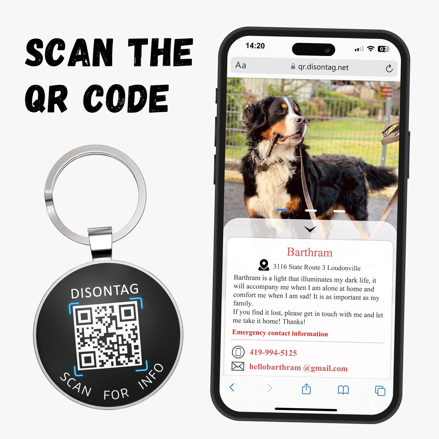 Alloy ID QR code pet tag-Unknown Surprise