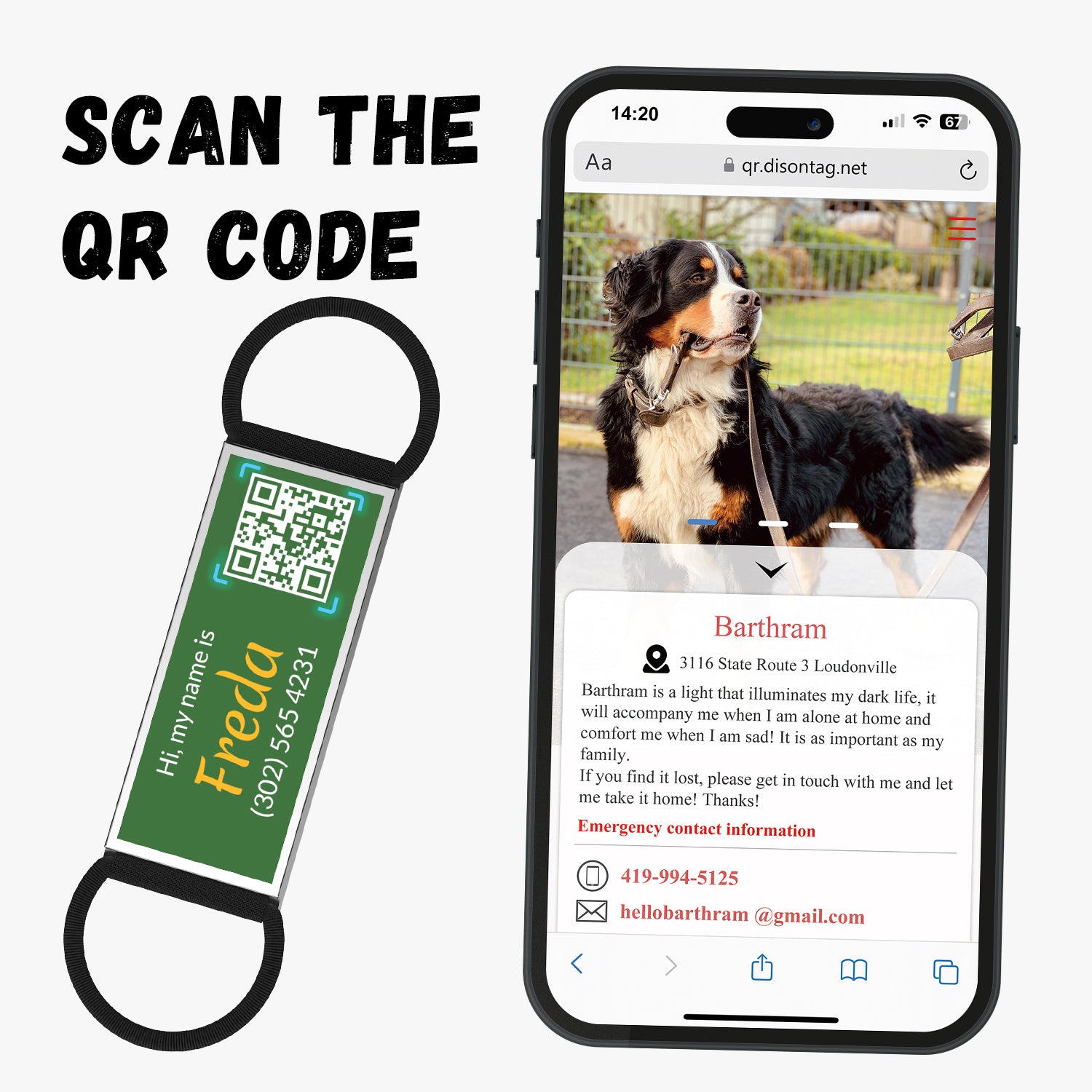 QR code pet tag silent-no more jingle-NO.130908