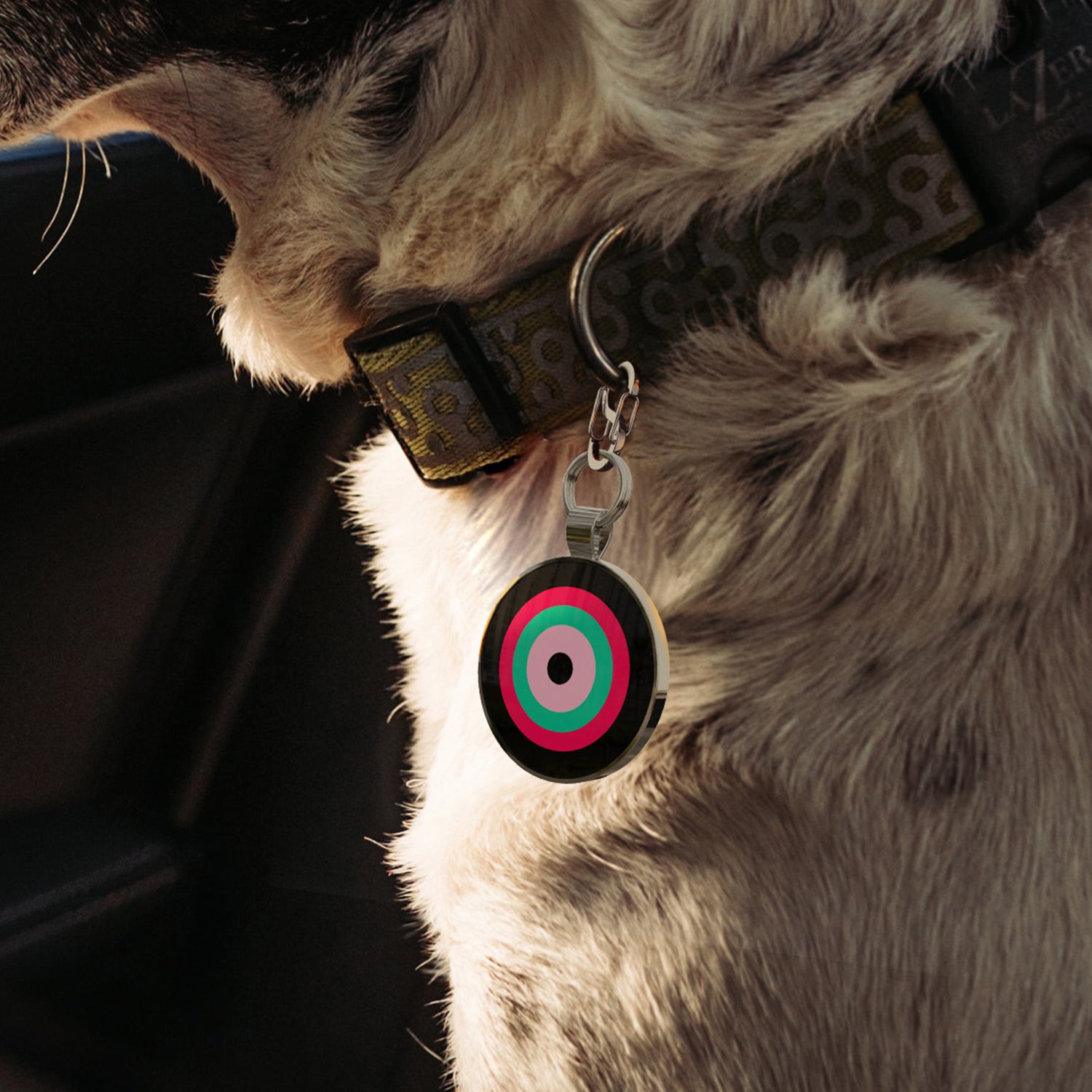 Alloy ID QR code pet tag-Interstellar Shield