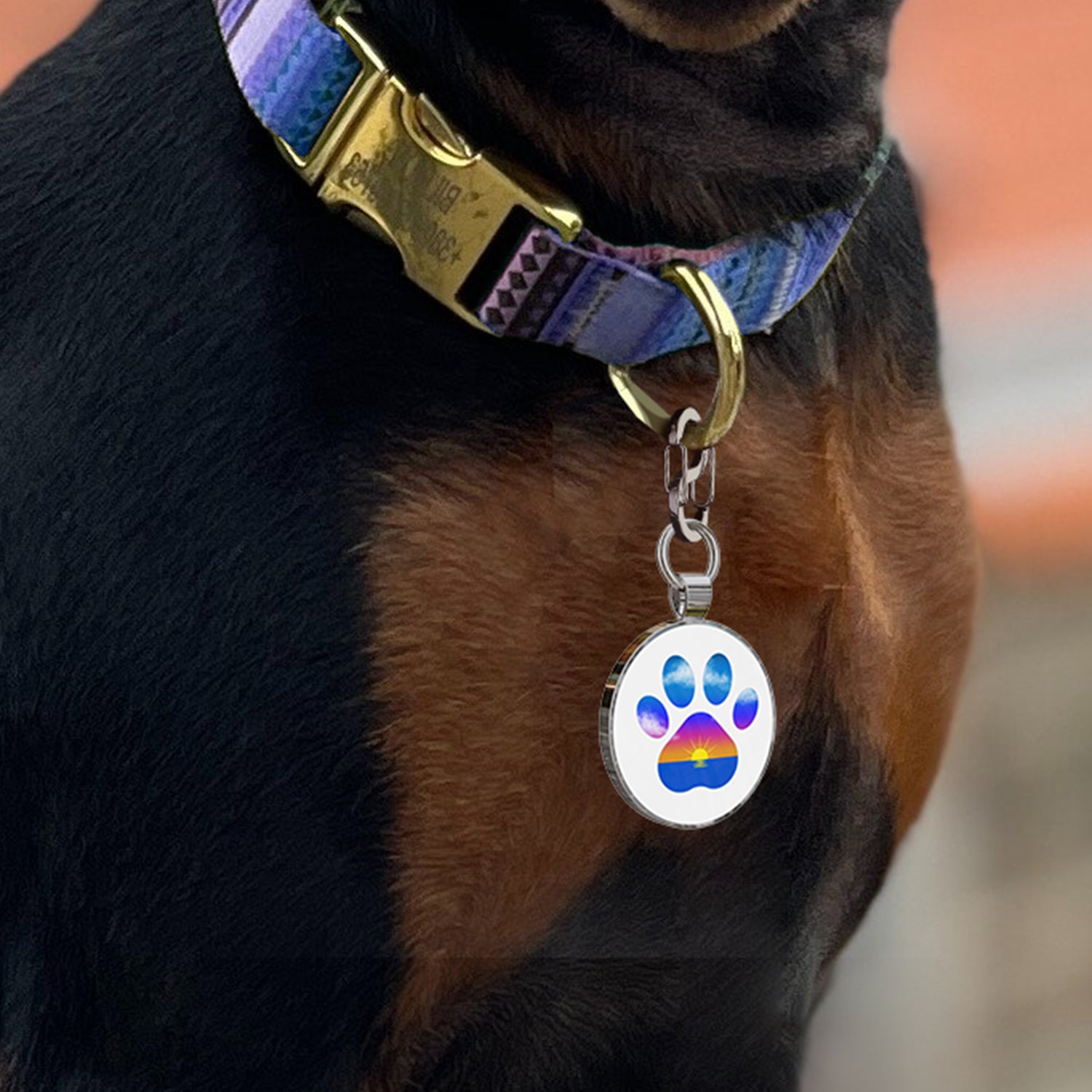 Alloy ID QR code pet tag-Blue Paw