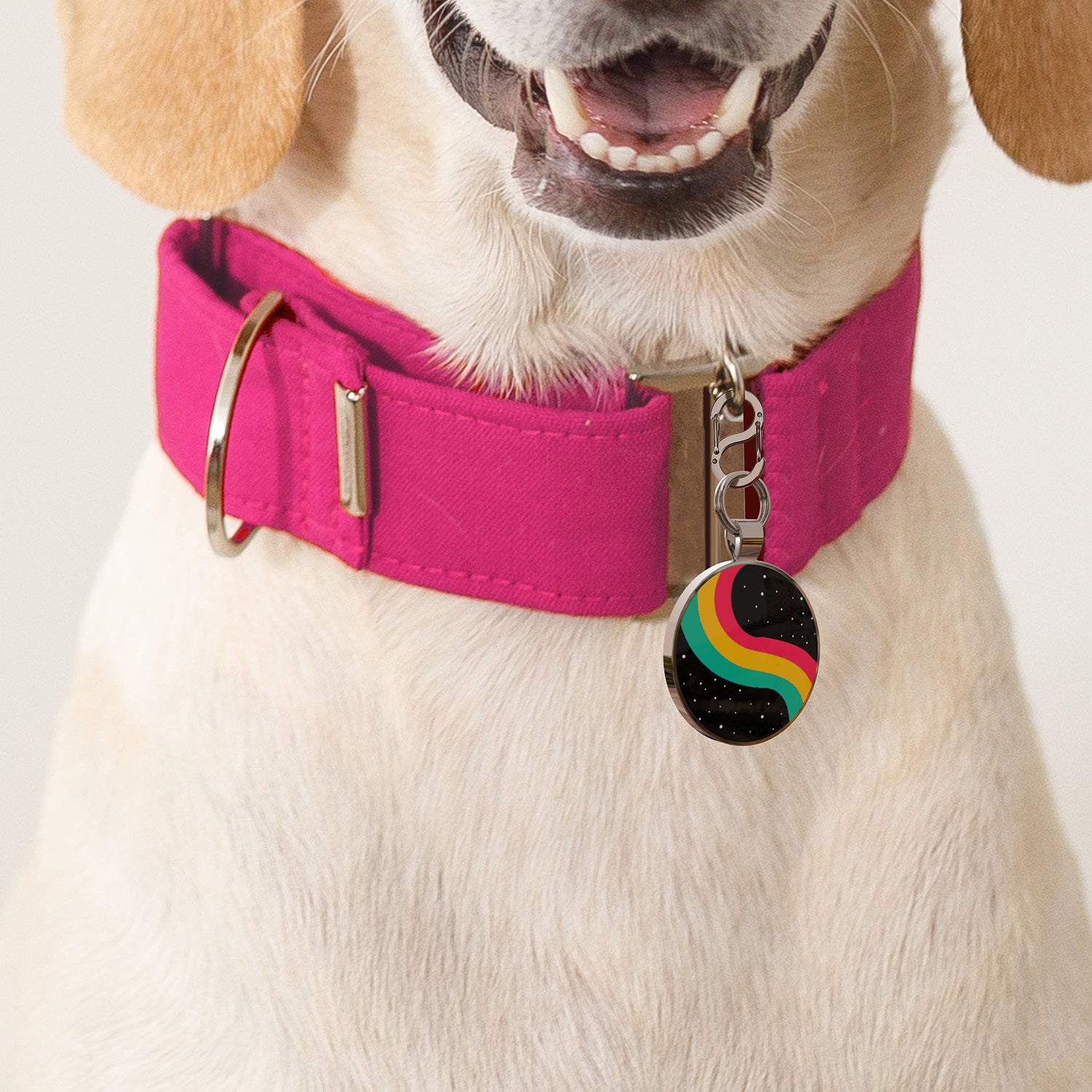 Alloy ID QR code pet tag-Interstellar Rainbow