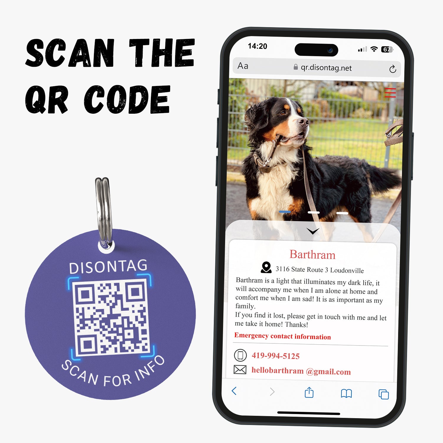 PVC QR pet tag-"I HISS AT CUNTS"