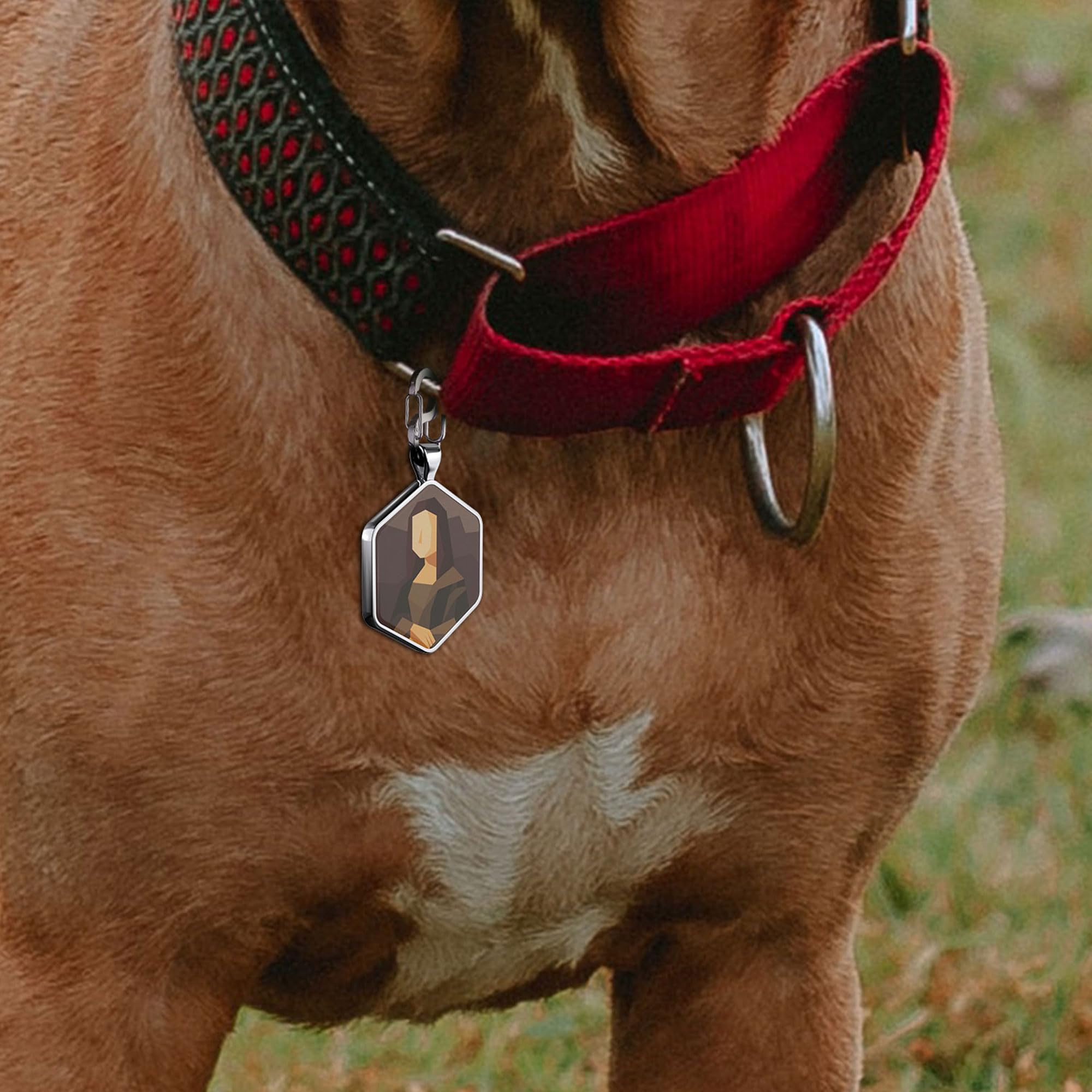 Alloy ID QR code pet tag-Mona Lisa