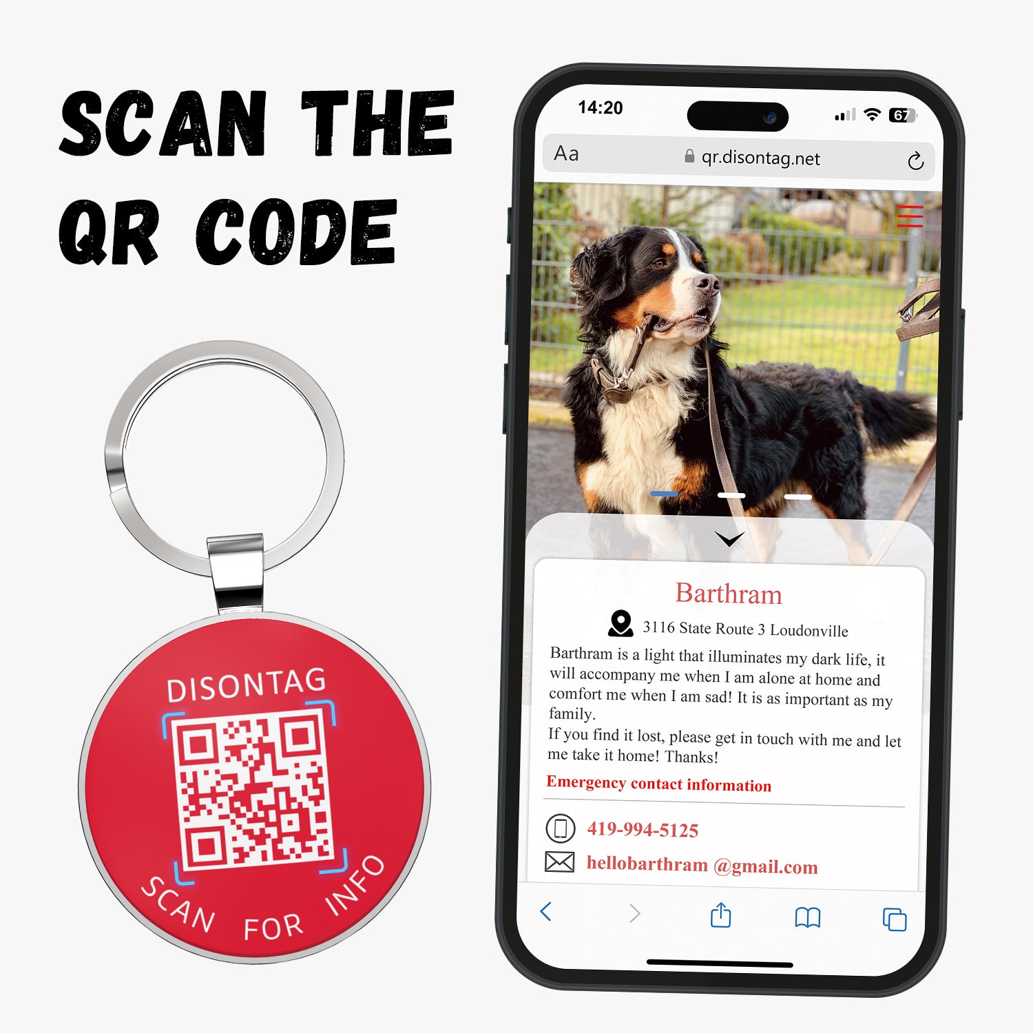 Alloy ID QR code pet tag-ESA