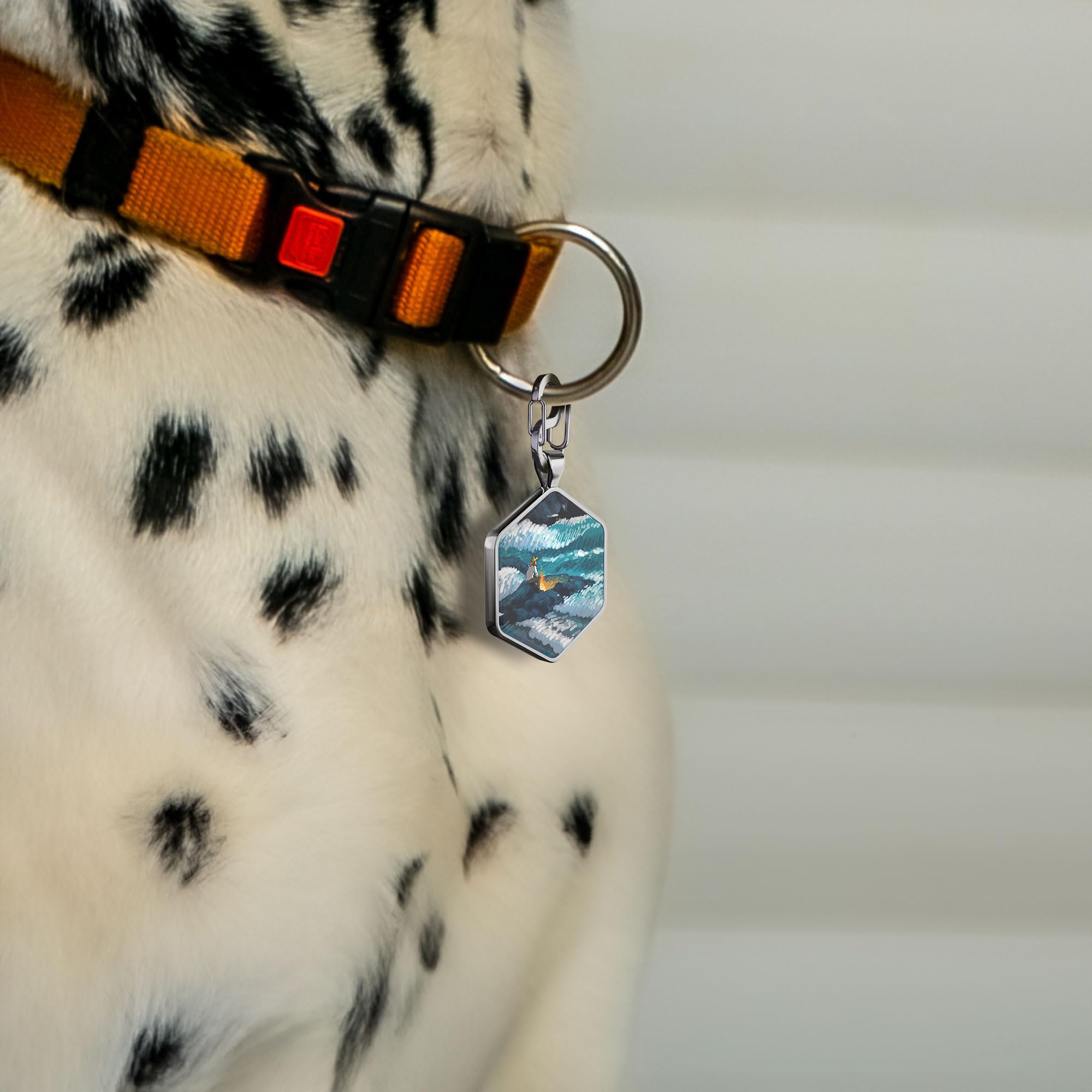 Alloy ID QR code pet tag-Van Gogh and the Sea
