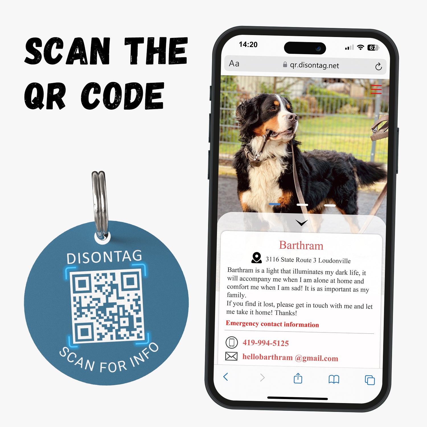 PVC QR pet tag- "SPOILED CHILD"