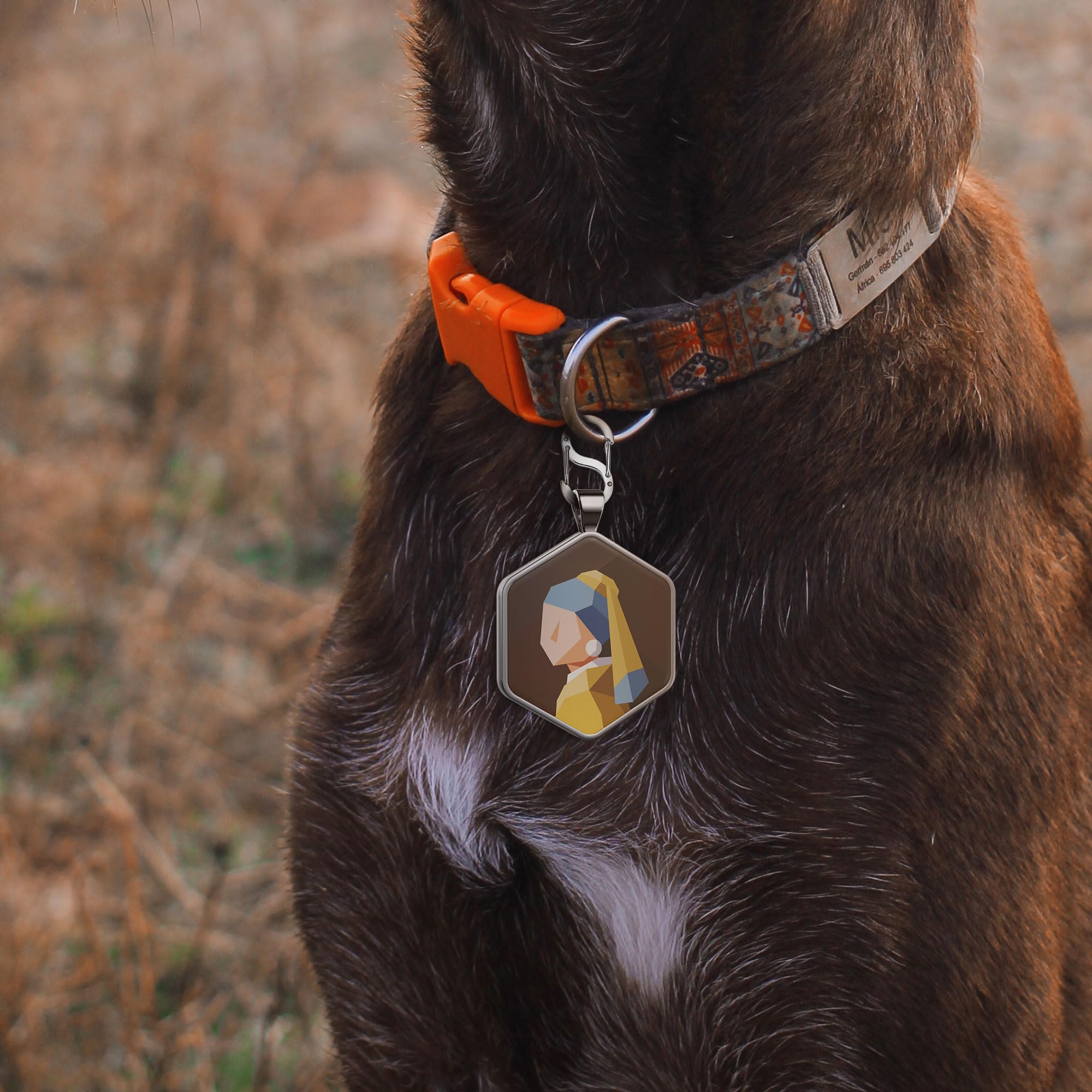 Alloy ID QR code pet tag-Girl with a Pearl Earring