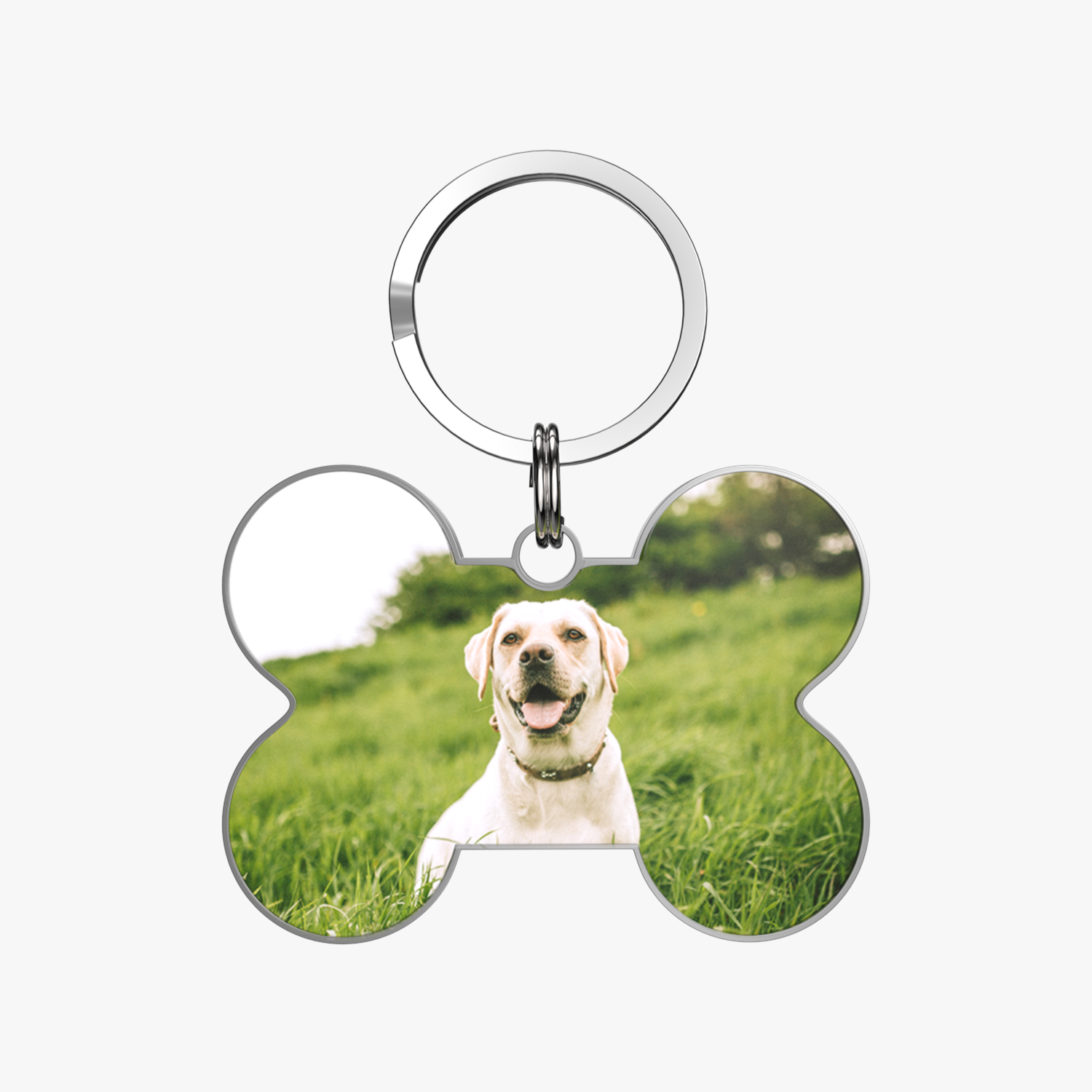 QR code pet tag Any picture-NO.150903