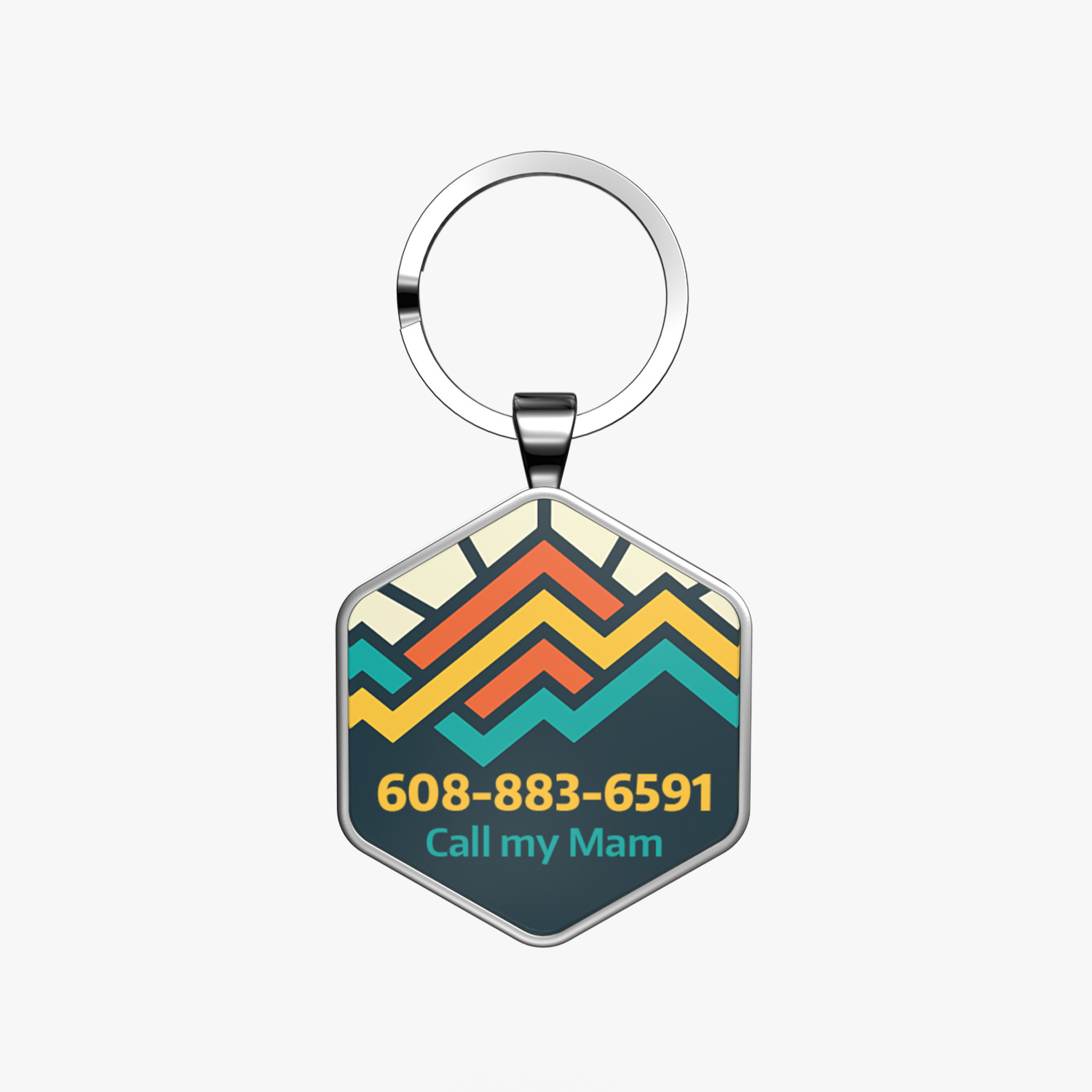 QR code pet tag Adventure tour-NO.160915