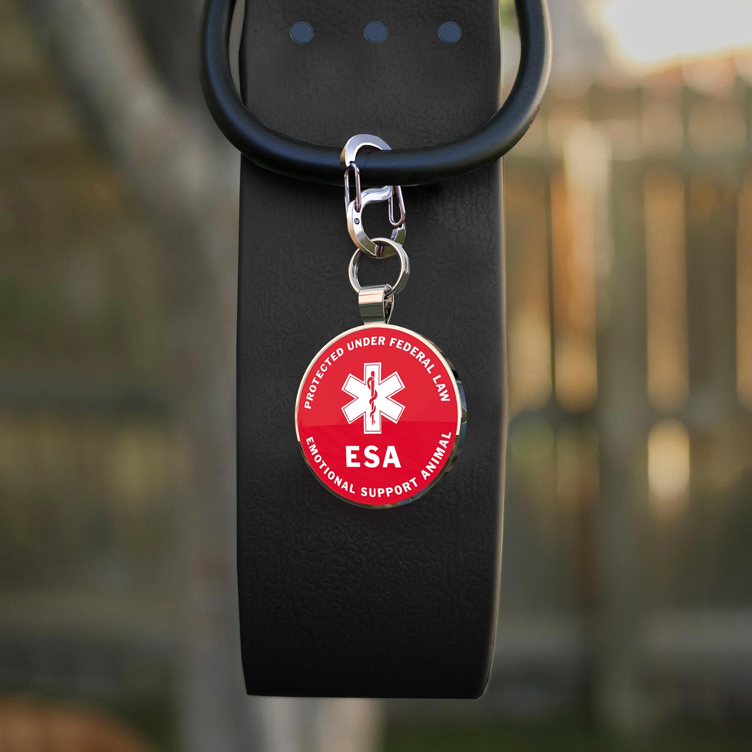 Alloy ID QR code pet tag-ESA