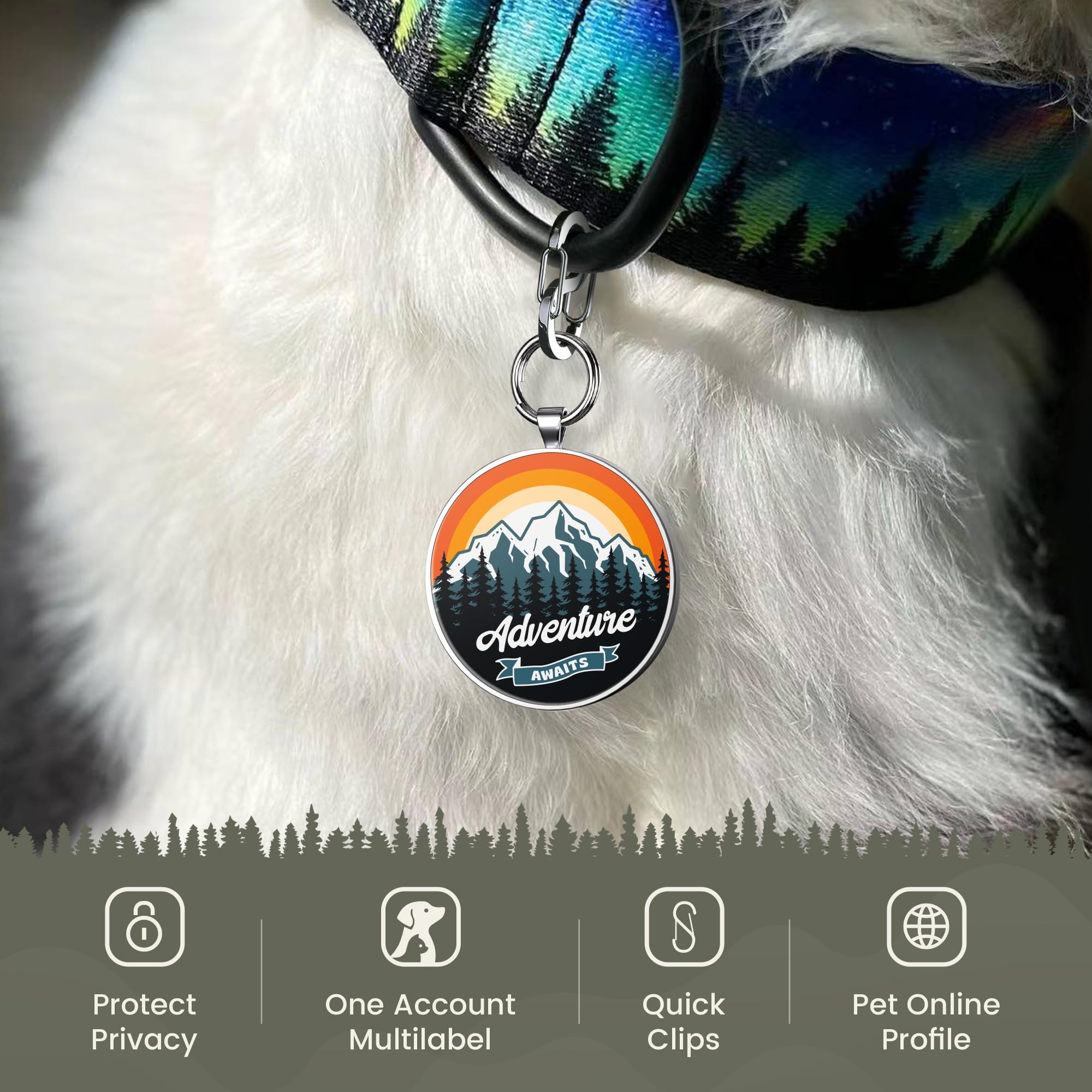 Alloy ID QR code pet tag-Adventure