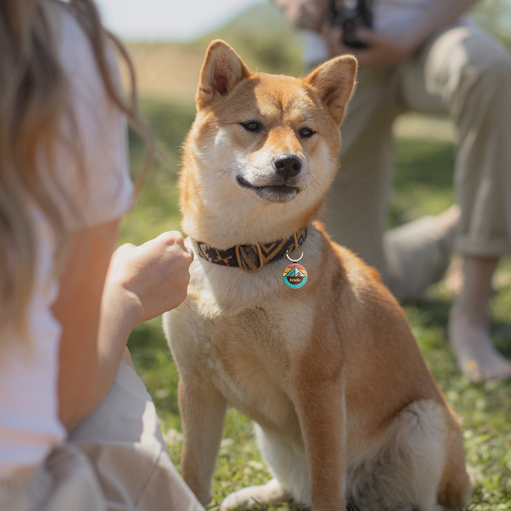 QR code pet tag Adventure tour-NO.160908