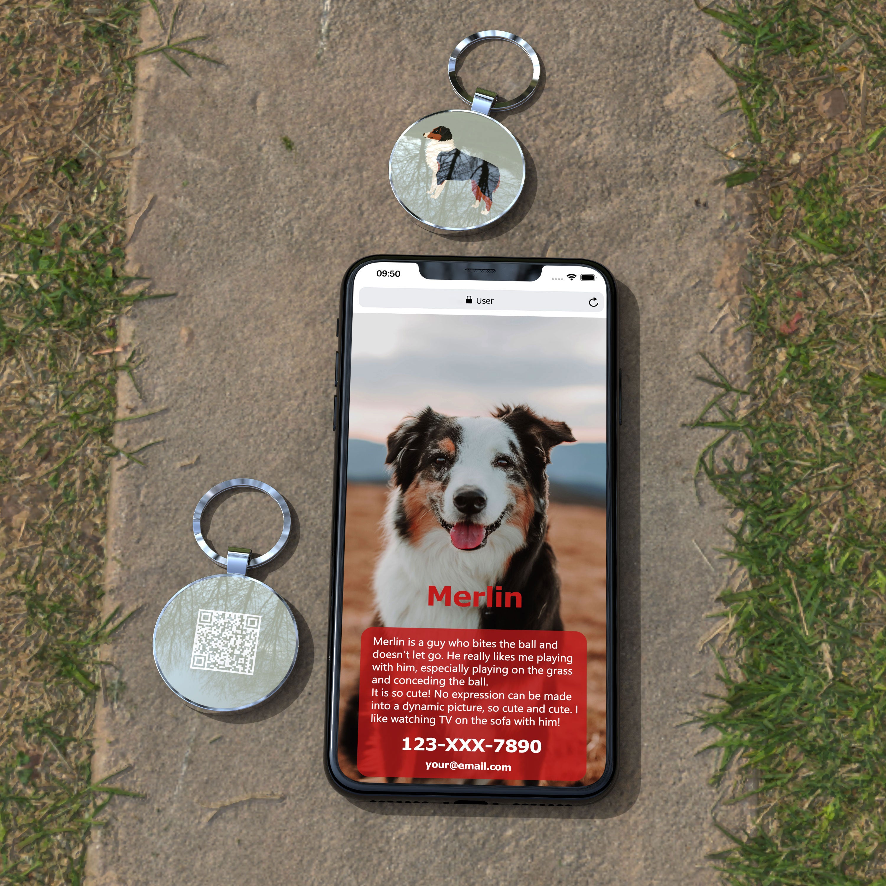 QR code pet tag Dog breeds tags-Australian Shepherd