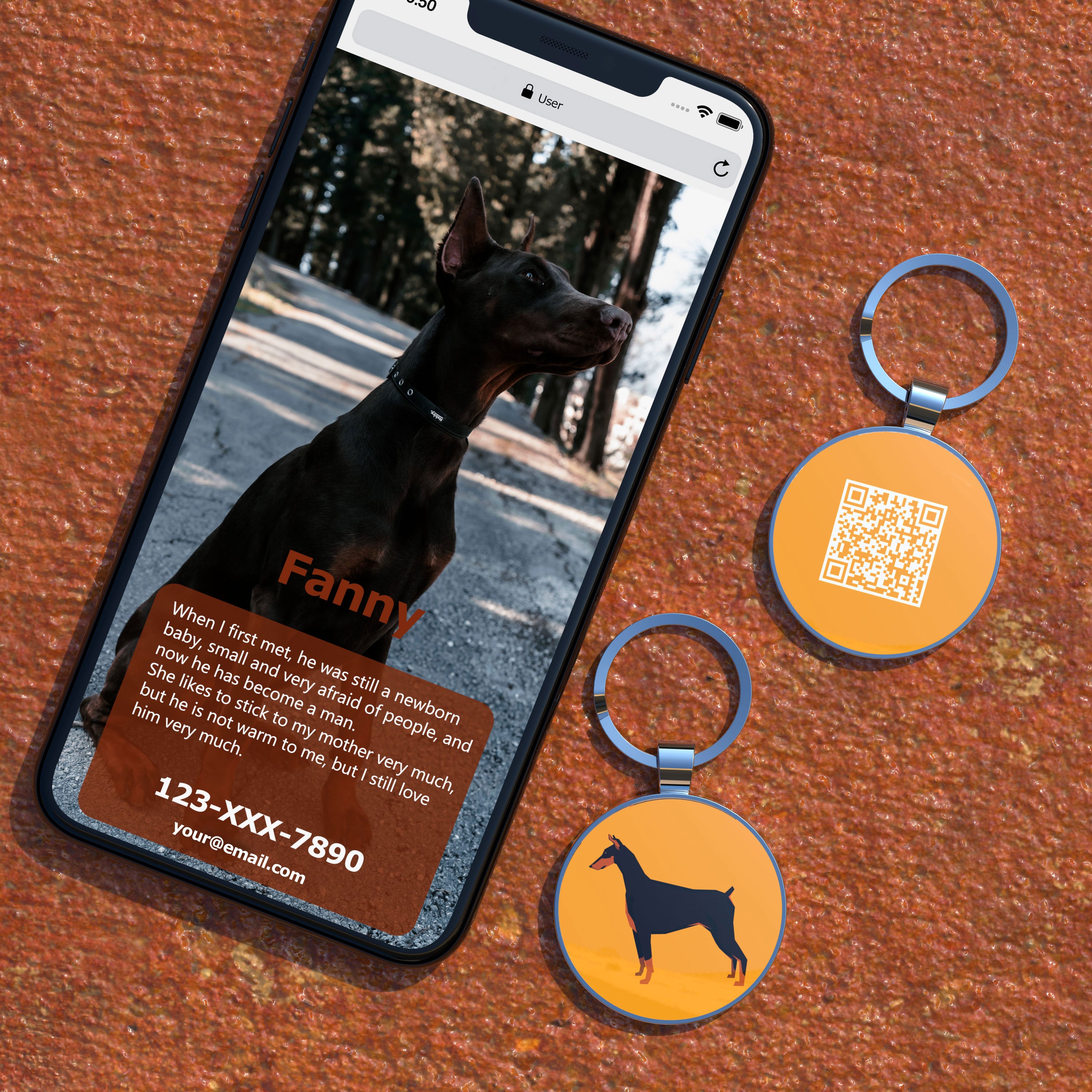 QR code pet tag Dog breeds tags-Doberman