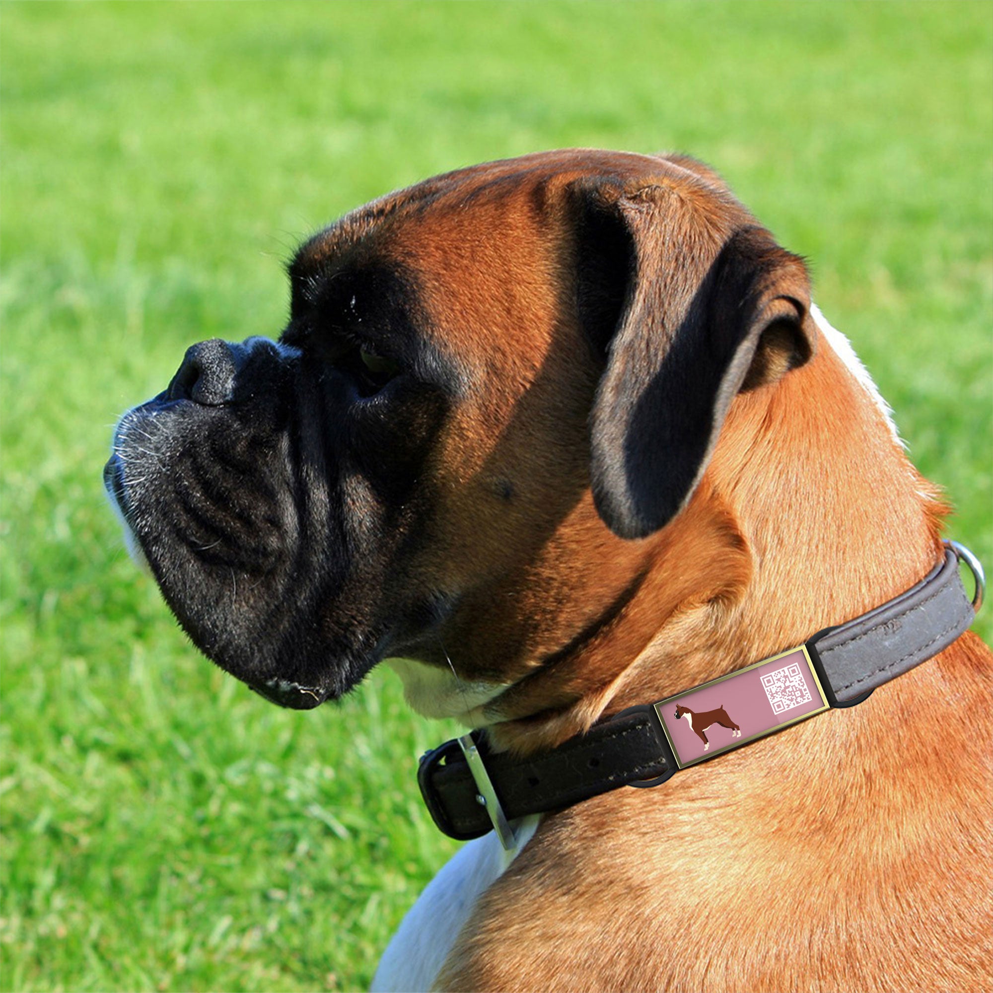 QR code pet tag Silent dog breeds tags-Boxer