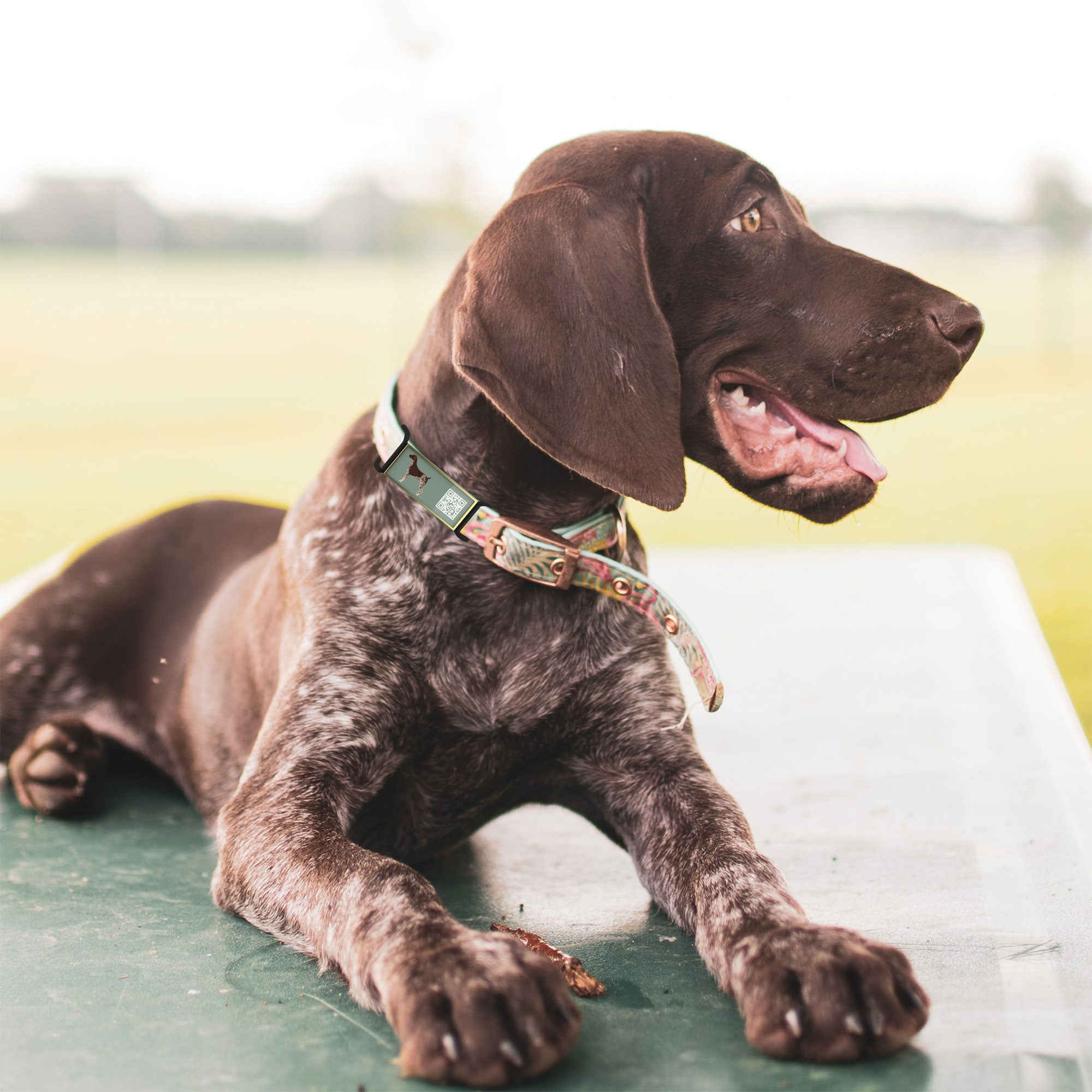 QR code pet tag Silent dog breeds tags-German Shorthaired Pointer