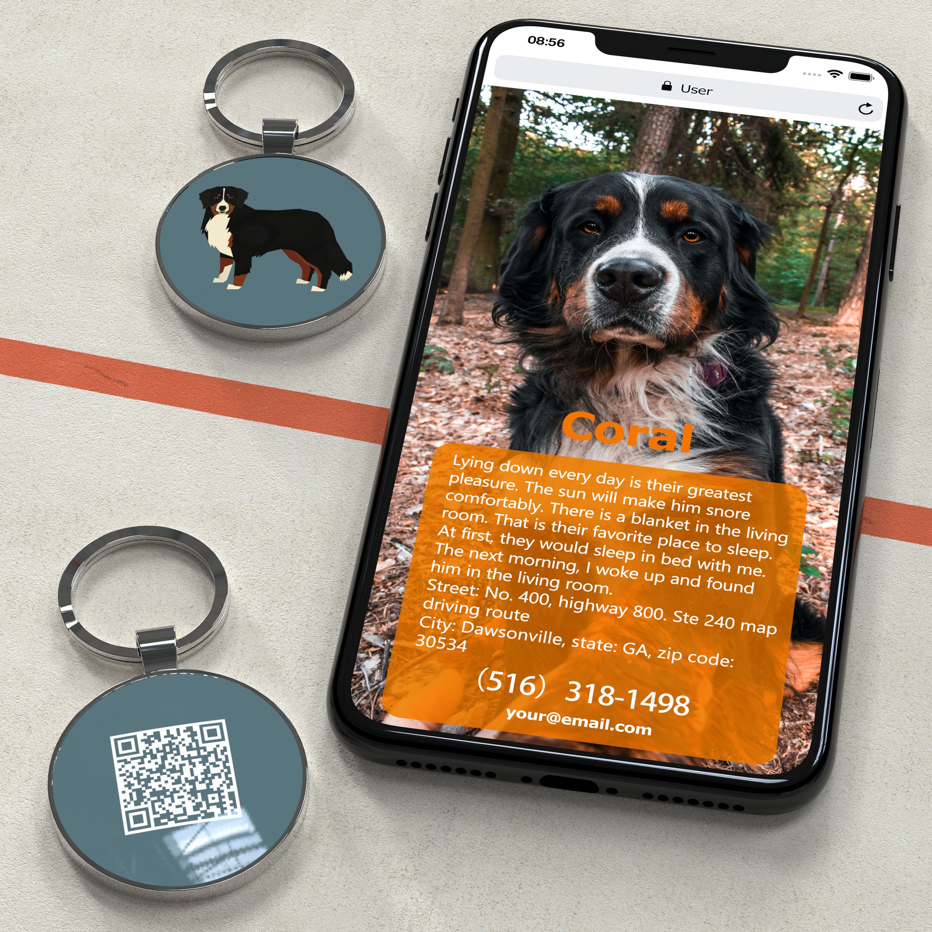 QR code pet tag Dog breeds tags-Bernese Mountain