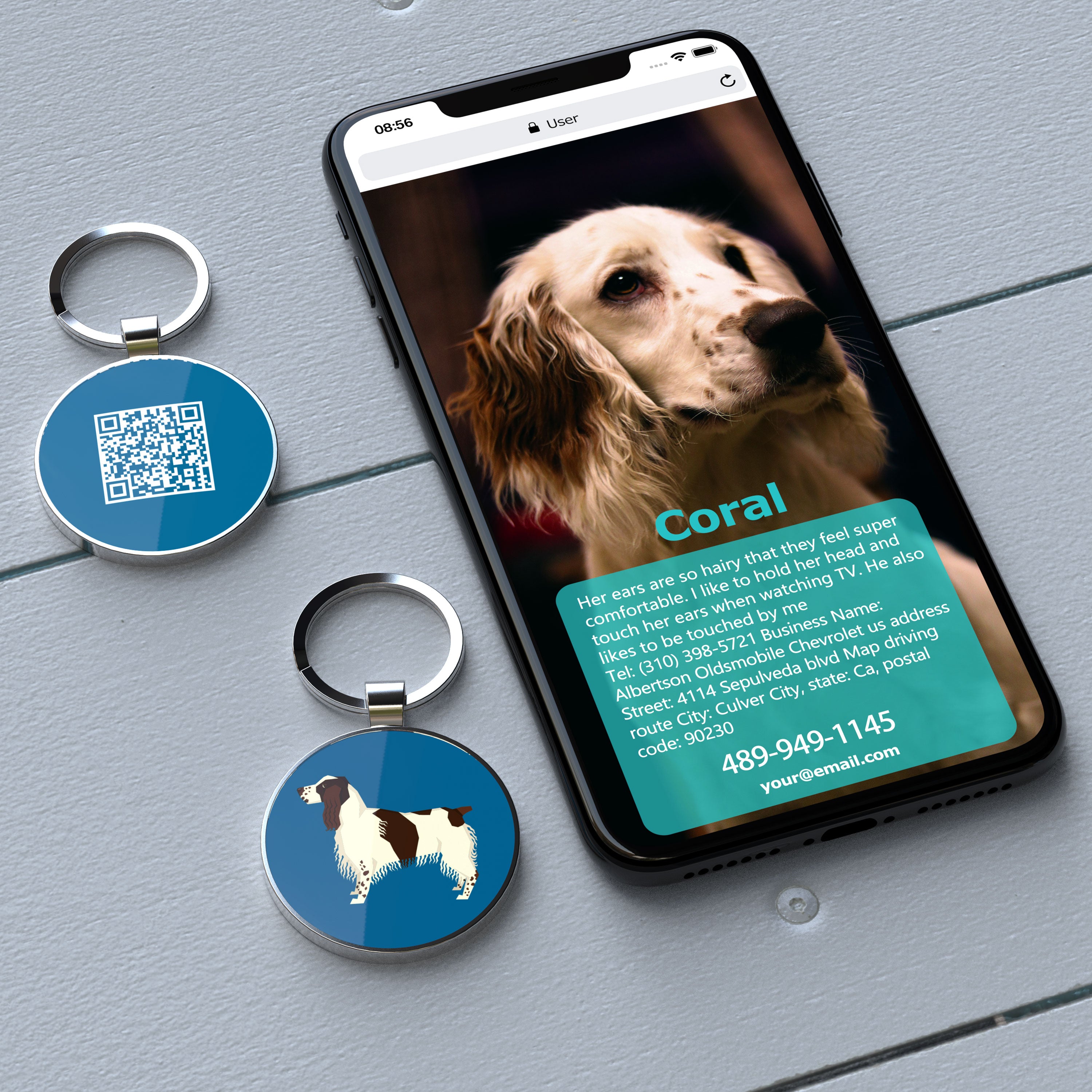 QR code pet tag Dog breeds tags-English Springer Spaniel