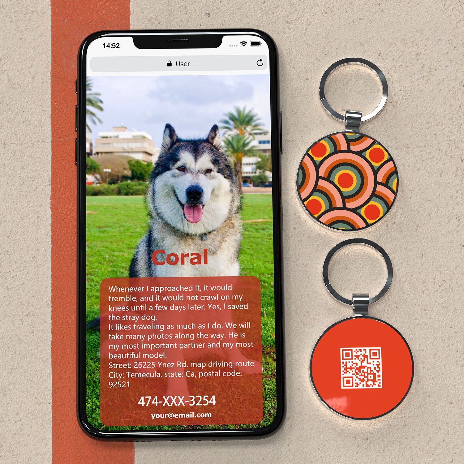 QR code pet tags-NO.150613
