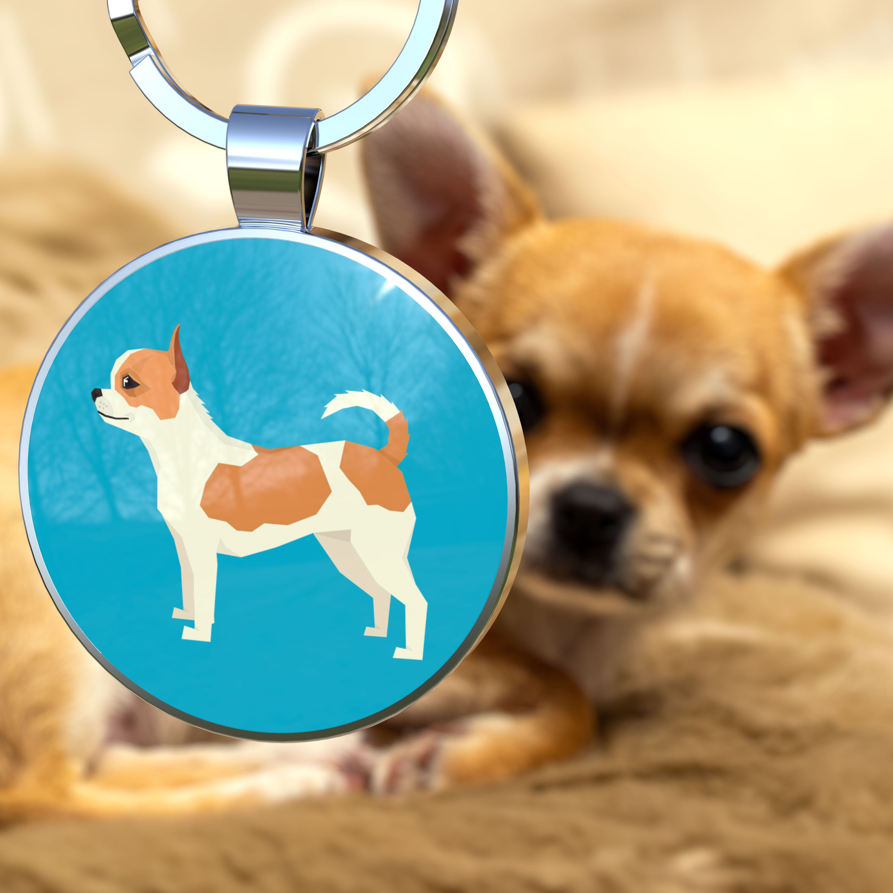 QR code pet tag Dog breeds tags-Chihuahua