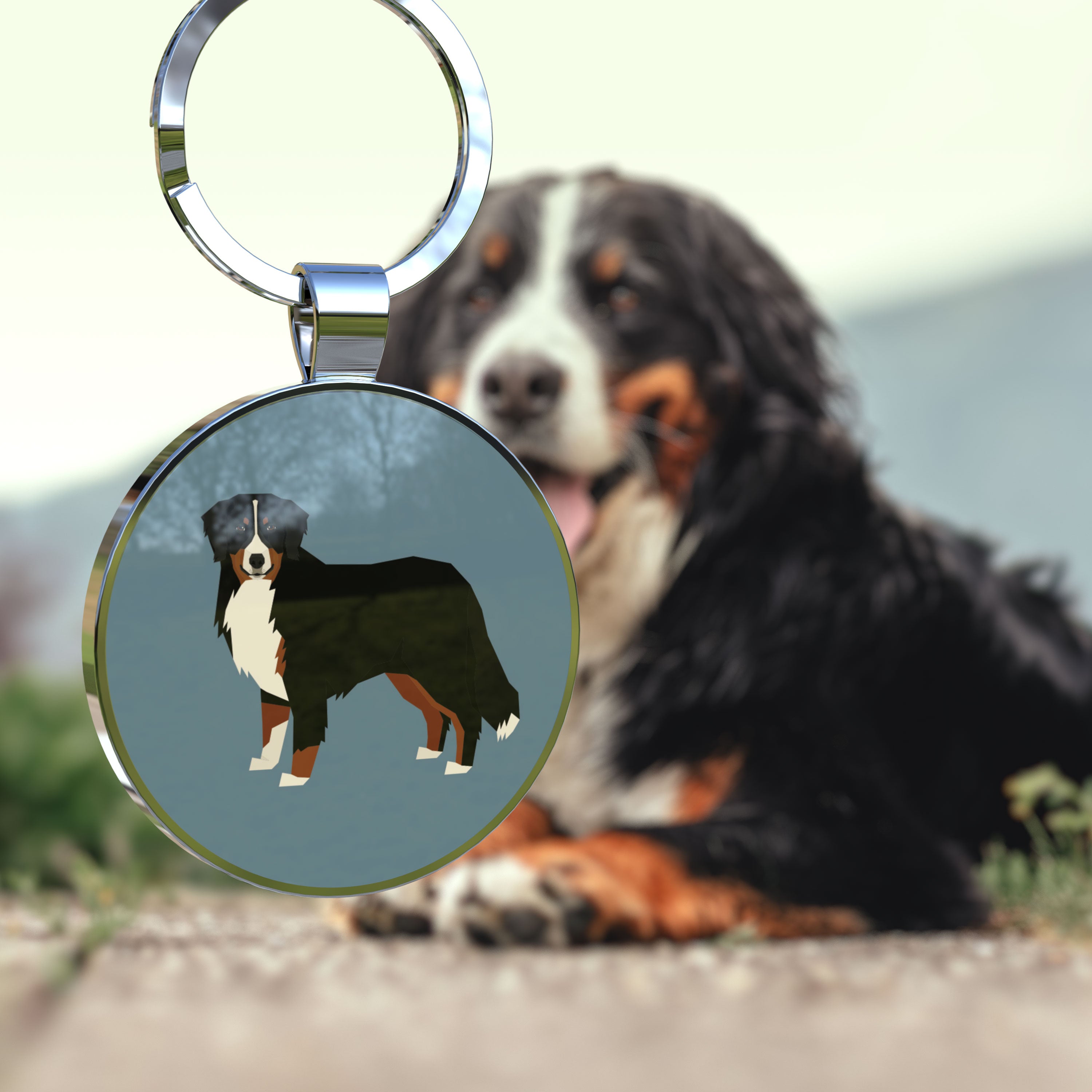 QR code pet tag Dog breeds tags-Bernese Mountain