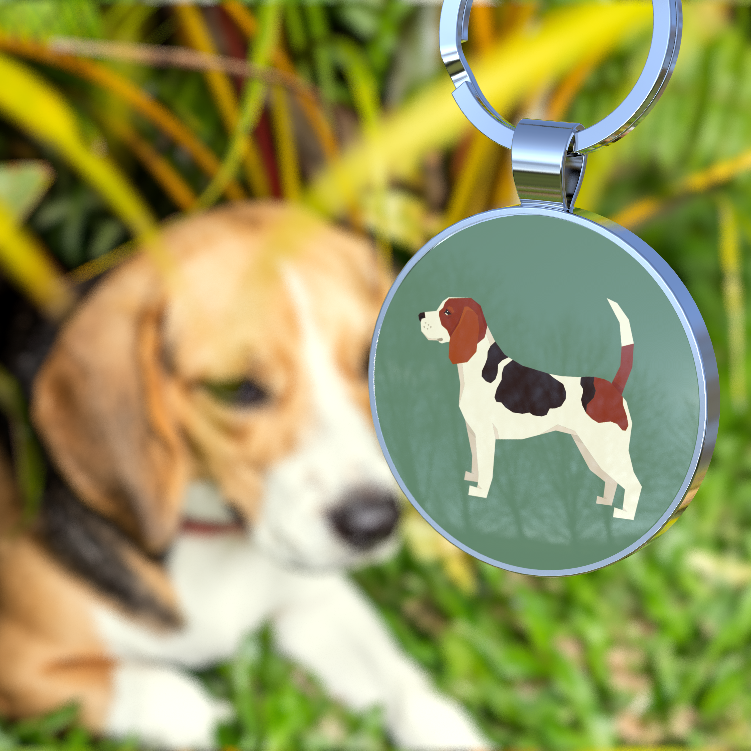 QR code pet tag Dog breeds tags-Beagle