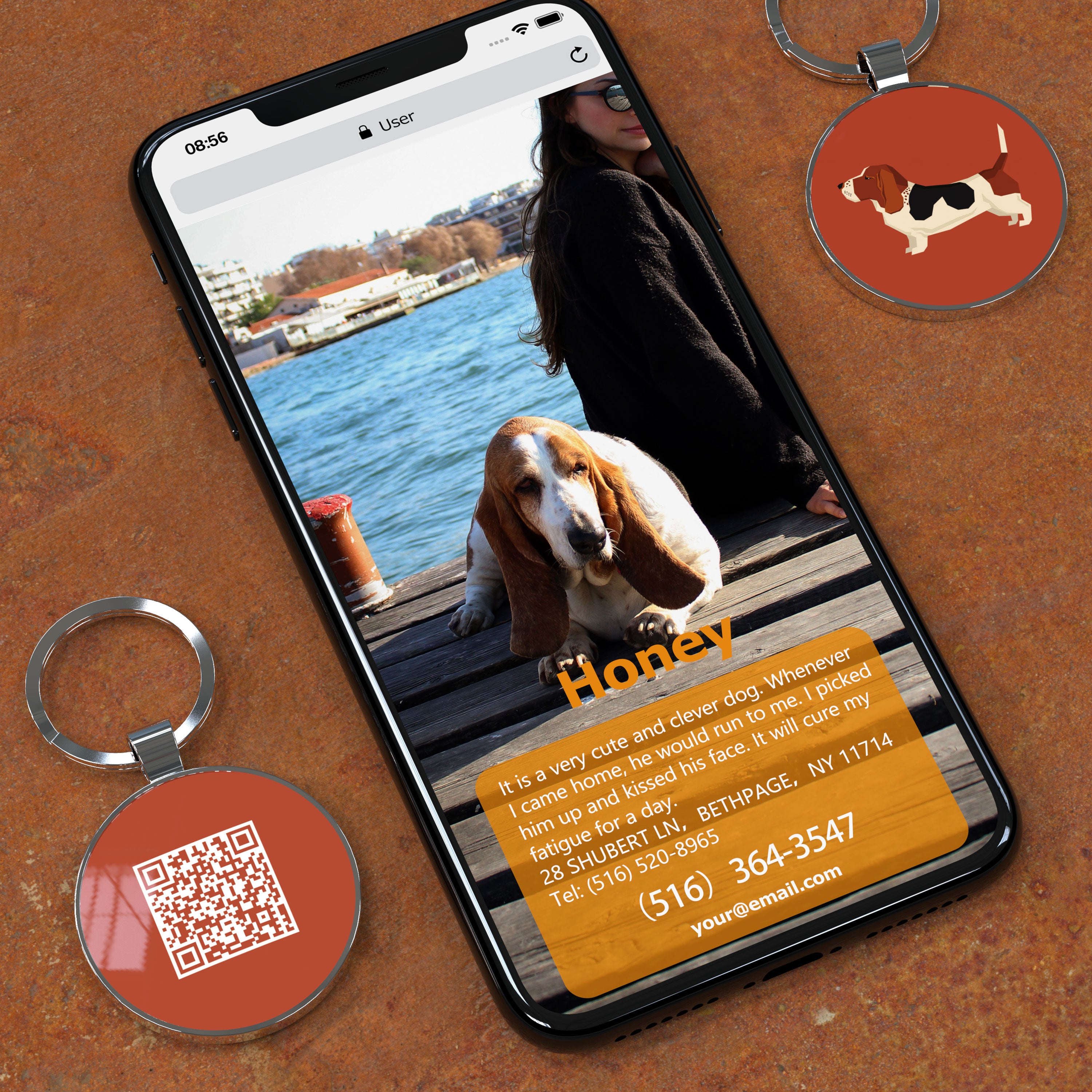 QR code pet tag Dog breeds tags-Basset Hound